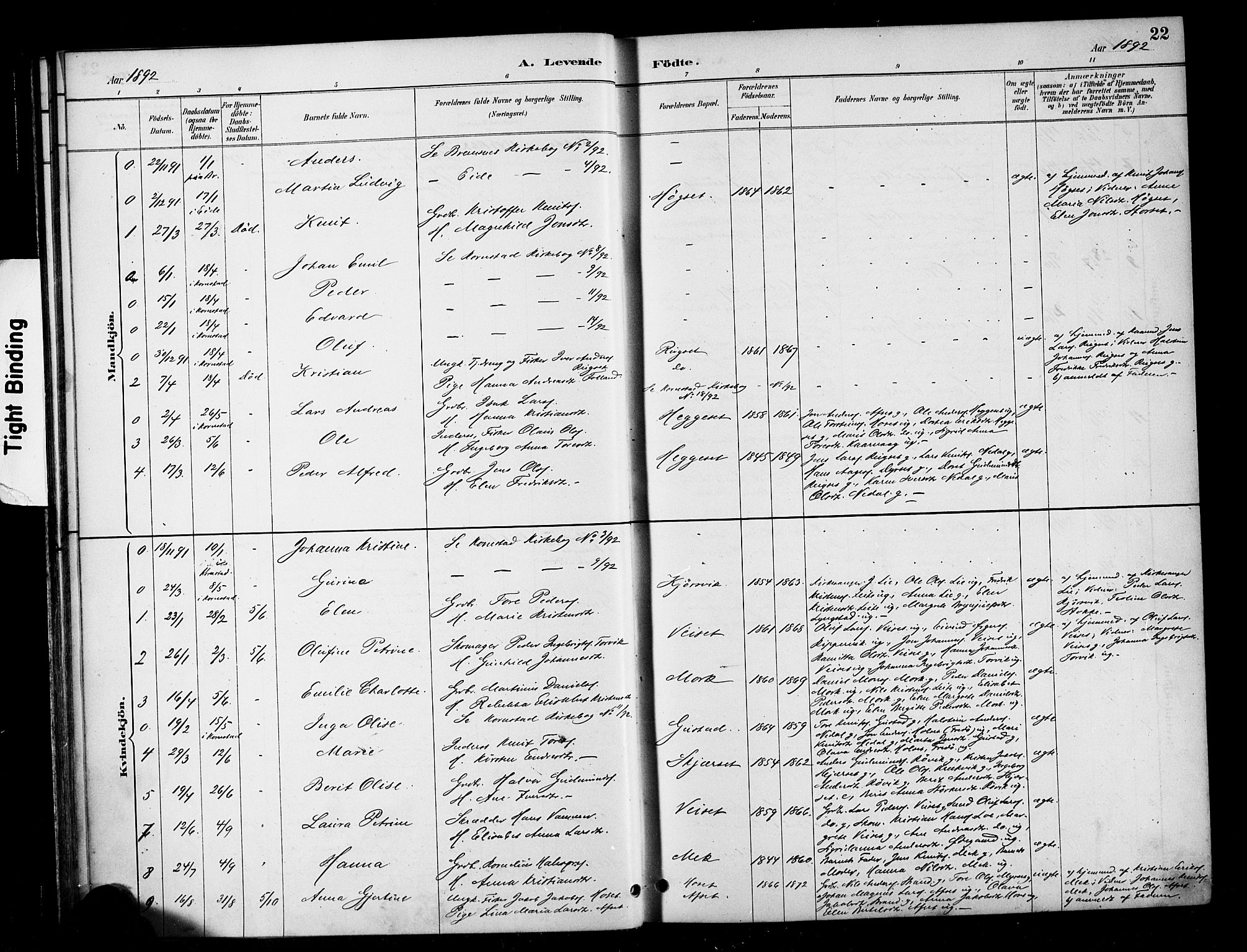 Ministerialprotokoller, klokkerbøker og fødselsregistre - Møre og Romsdal, SAT/A-1454/568/L0809: Parish register (official) no. 568A13, 1884-1900, p. 22