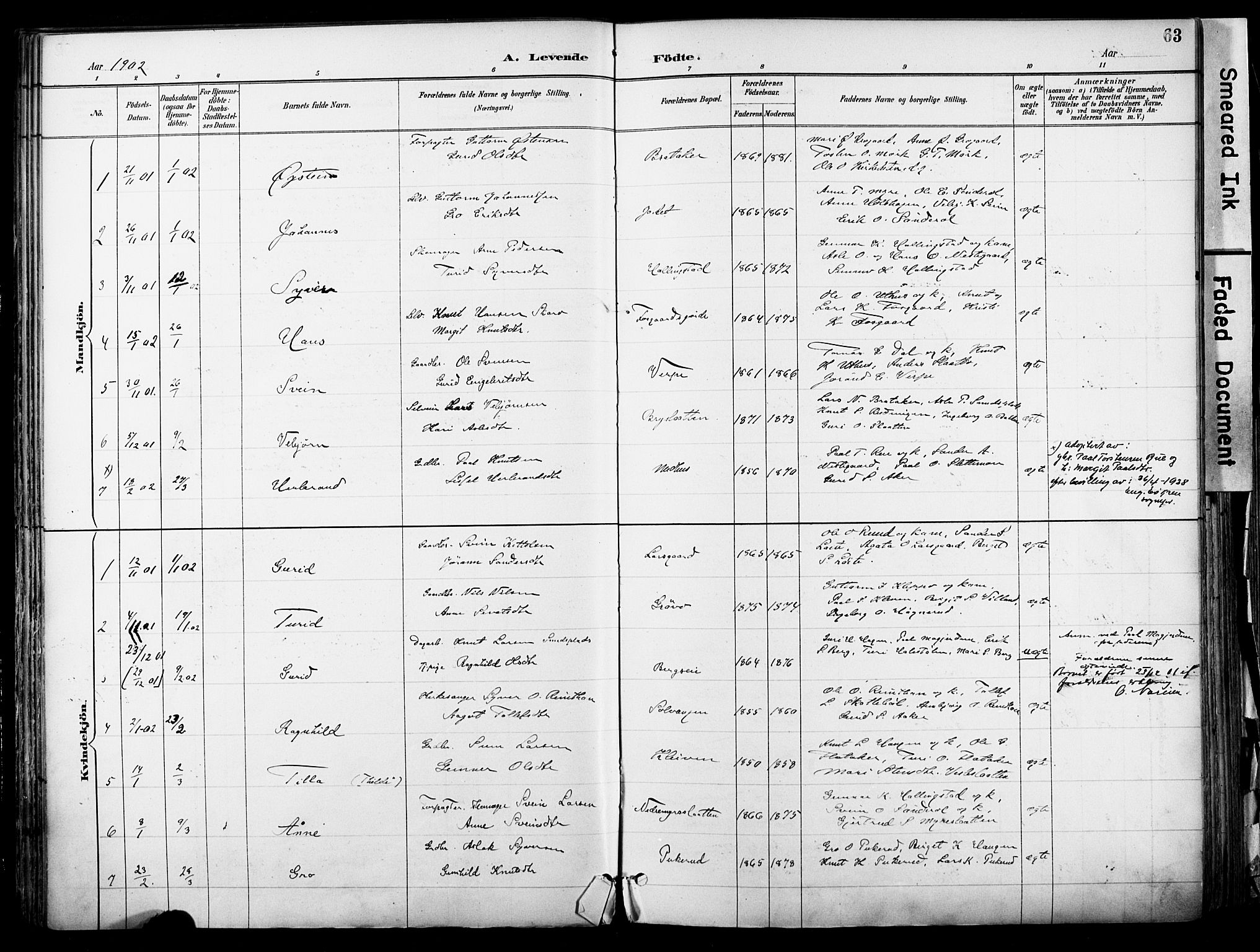 Hol kirkebøker, AV/SAKO-A-227/F/Fa/L0003: Parish register (official) no. I 3, 1887-1918, p. 63