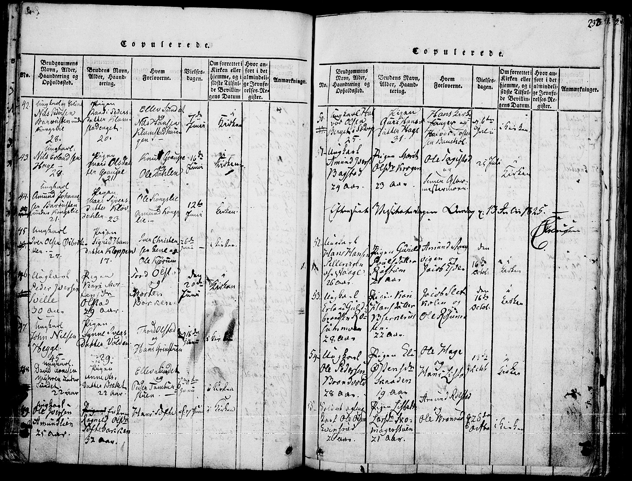 Fron prestekontor, SAH/PREST-078/H/Ha/Haa/L0002: Parish register (official) no. 2, 1816-1827, p. 233