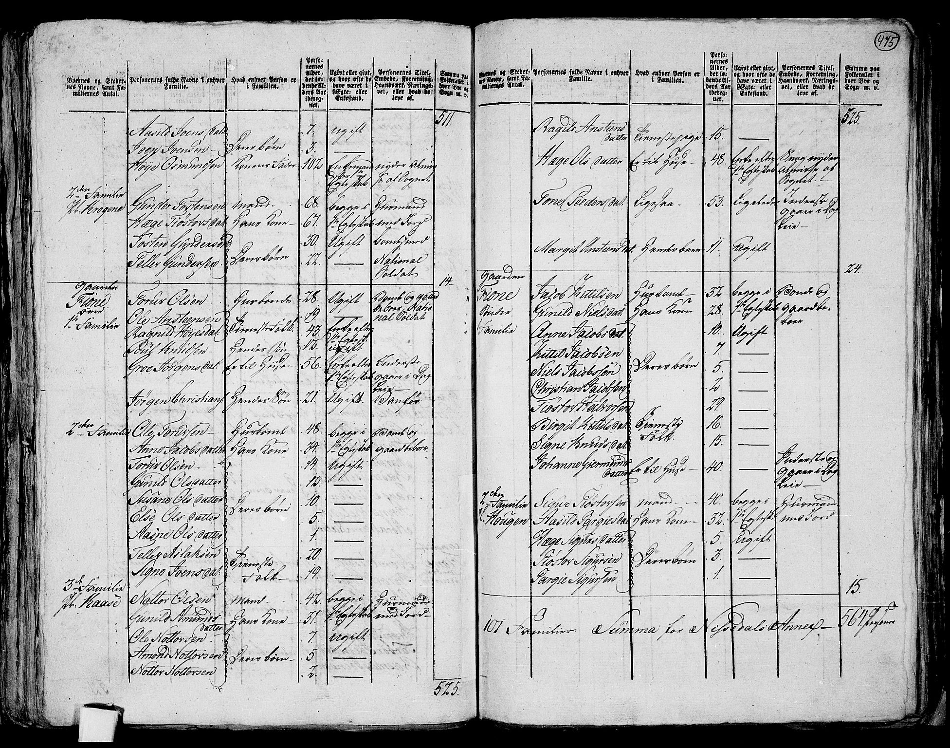 RA, 1801 census for 0829P Kviteseid, 1801, p. 474b-475a