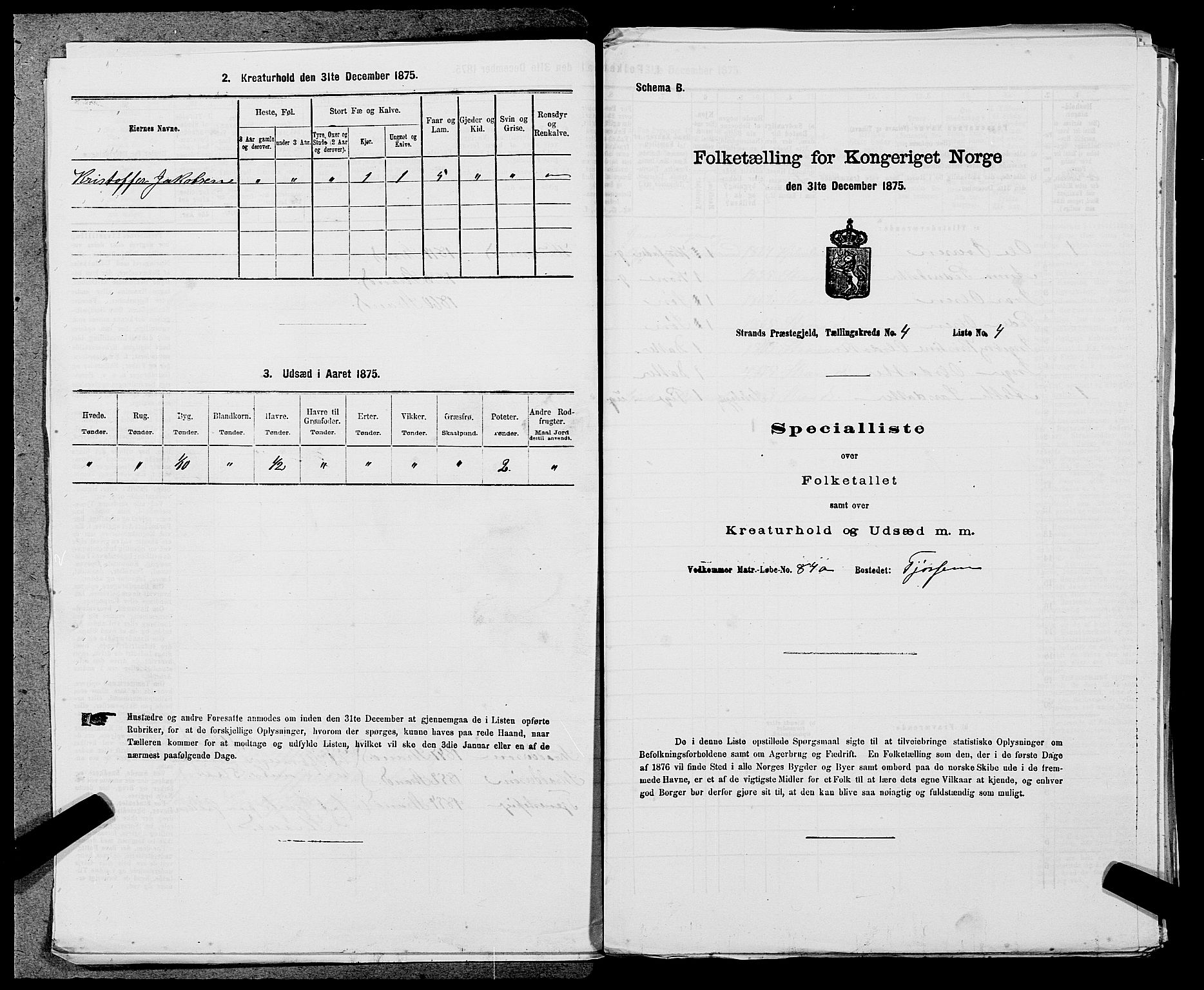 SAST, 1875 census for 1130P Strand, 1875, p. 344