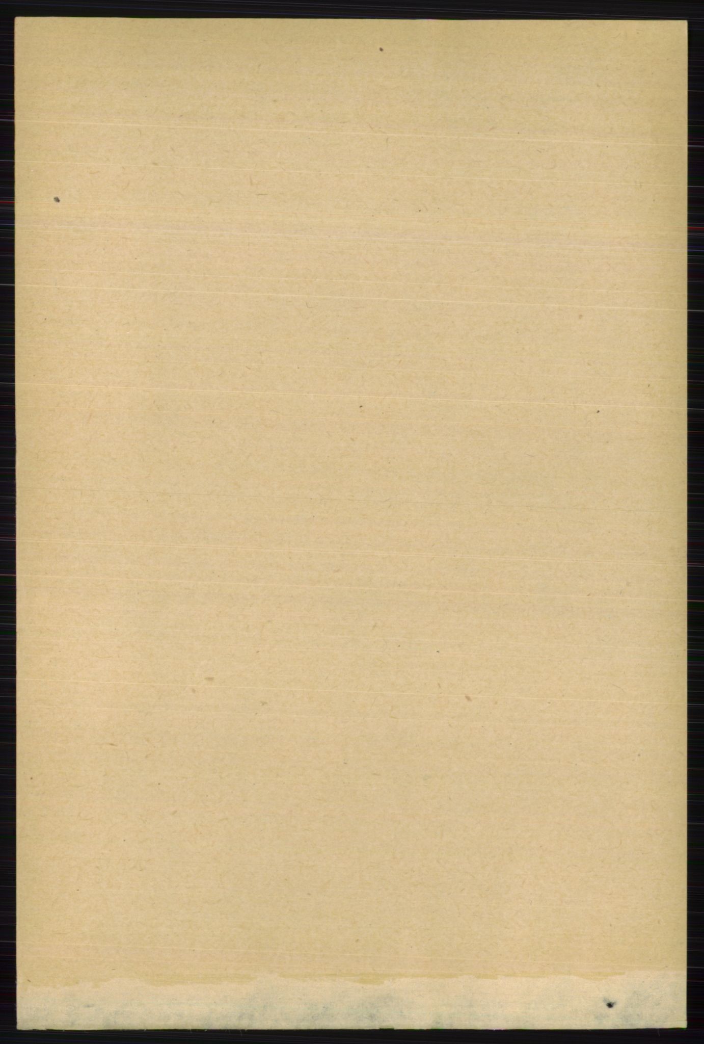 RA, 1891 census for 0717 Borre, 1891, p. 1213