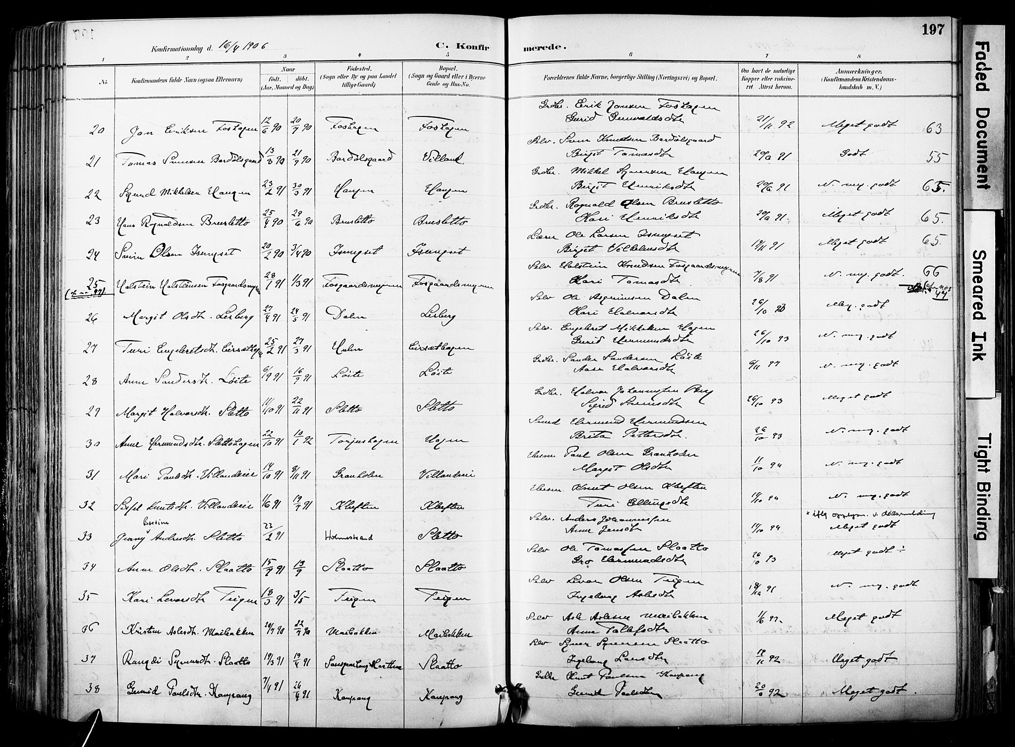 Hol kirkebøker, SAKO/A-227/F/Fa/L0003: Parish register (official) no. I 3, 1887-1918, p. 197
