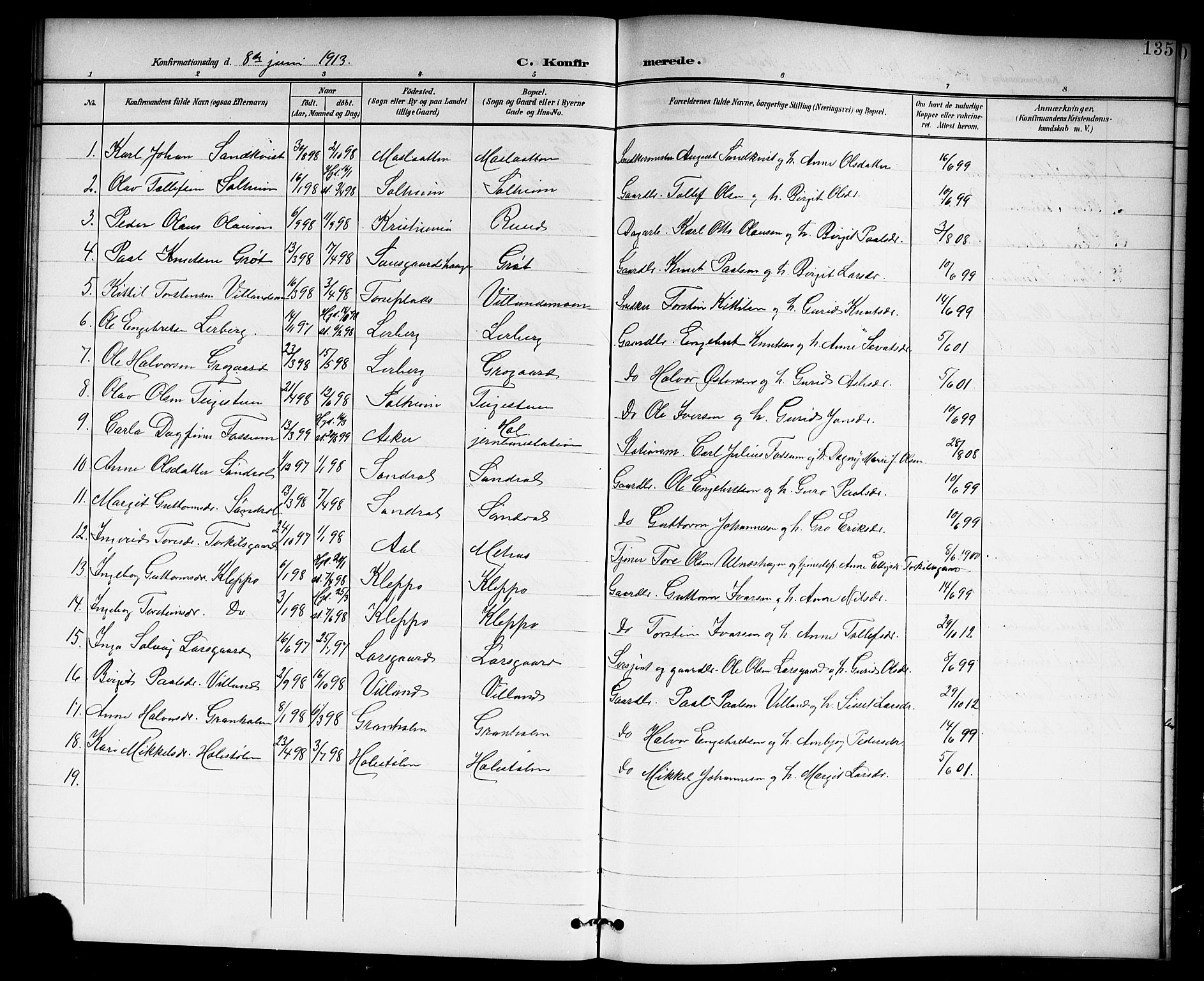 Hol kirkebøker, AV/SAKO-A-227/G/Ga/L0001: Parish register (copy) no. I 1, 1900-1919, p. 135