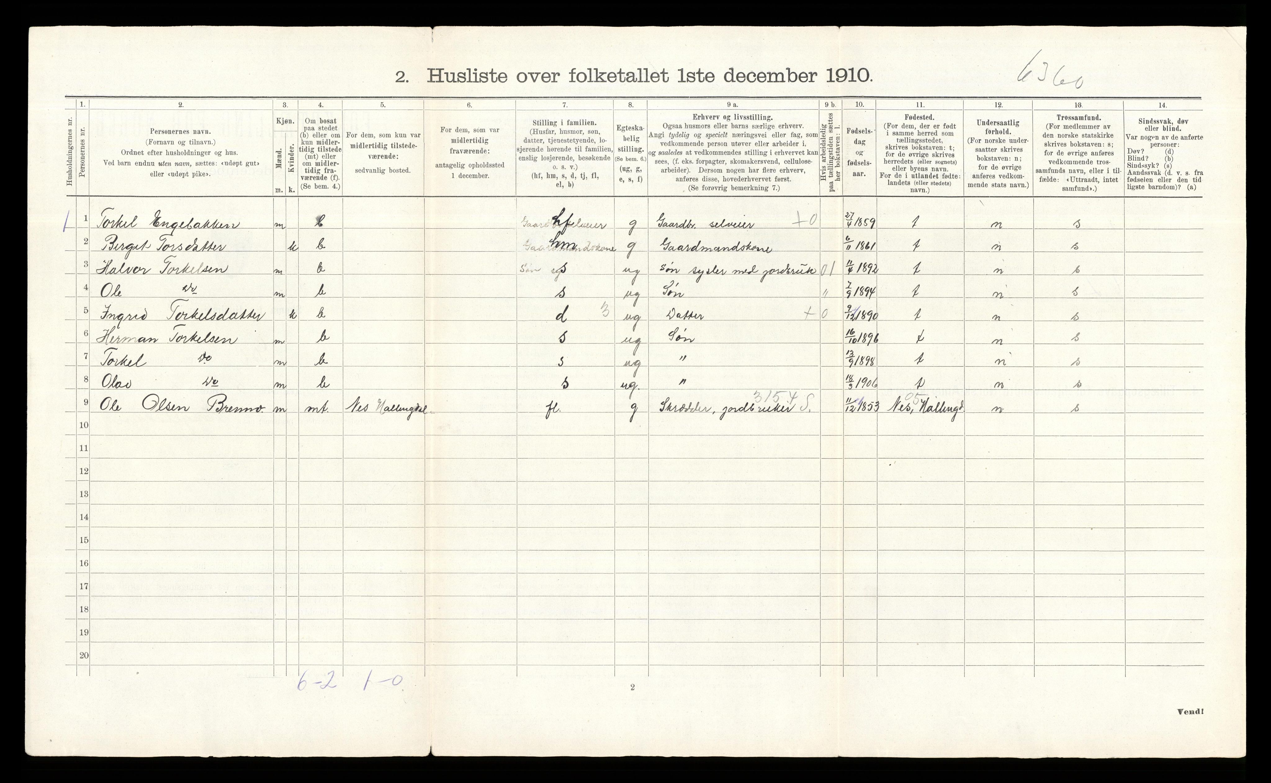 RA, 1910 census for Gol, 1910, p. 41