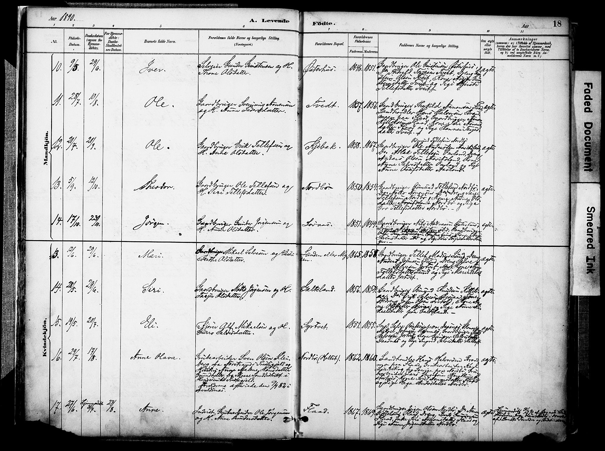 Evje sokneprestkontor, AV/SAK-1111-0008/F/Fa/Faa/L0007: Parish register (official) no. A 7, 1884-1909, p. 18