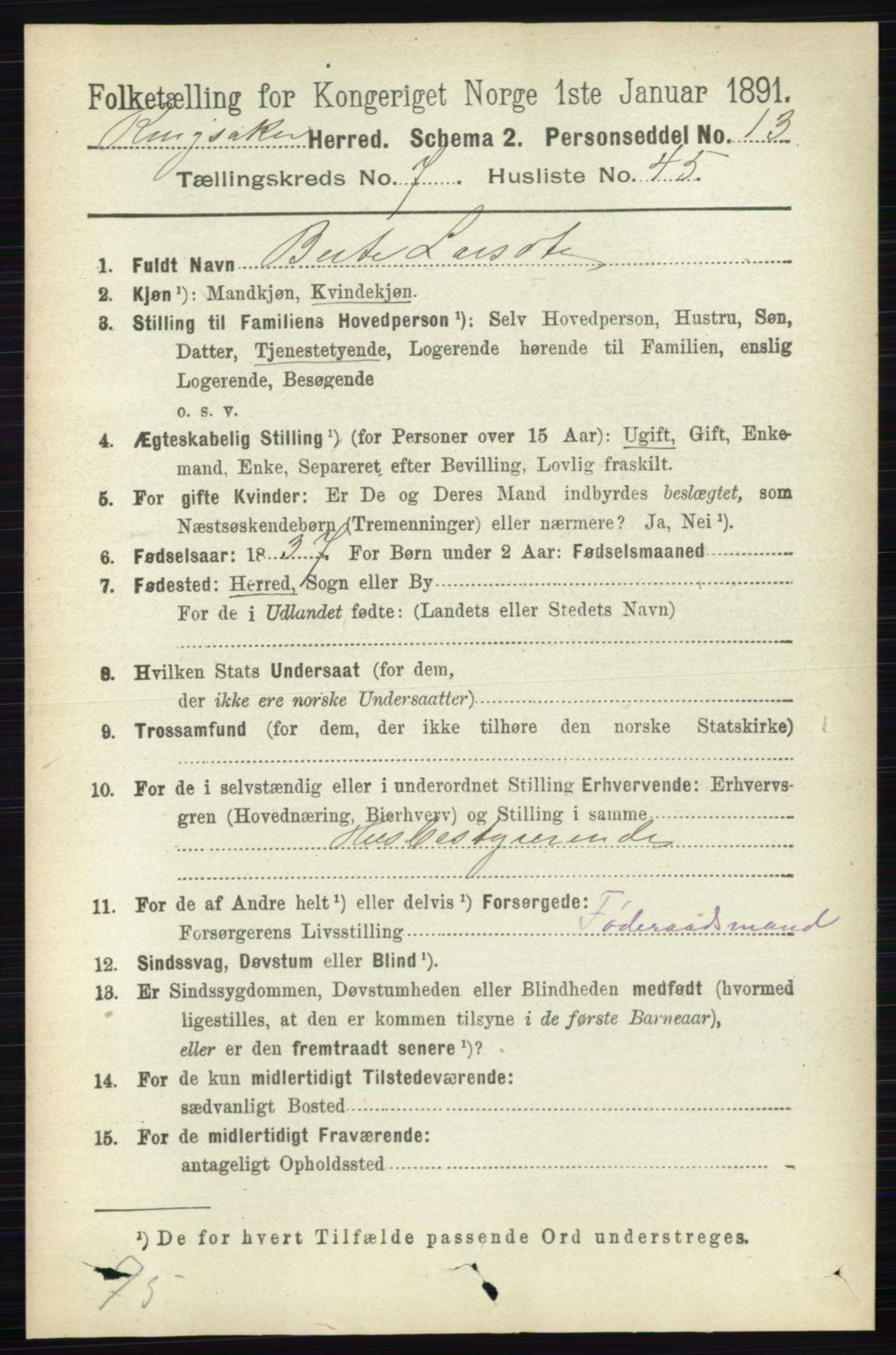 RA, 1891 census for 0412 Ringsaker, 1891, p. 4204