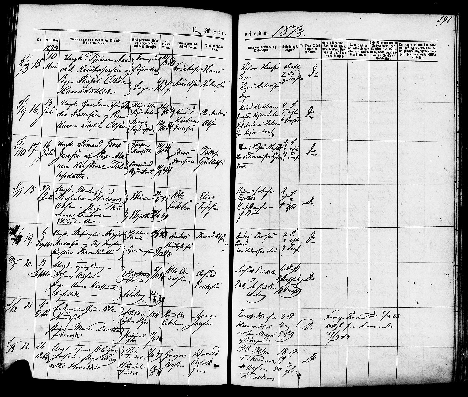 Solum kirkebøker, AV/SAKO-A-306/F/Fa/L0008: Parish register (official) no. I 8, 1865-1876, p. 291