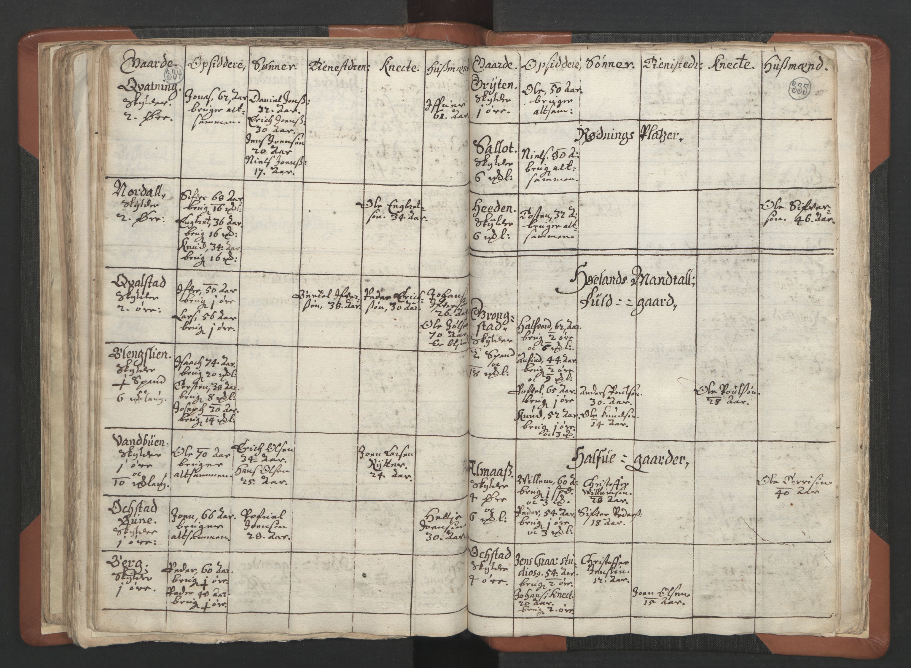 RA, Vicar's Census 1664-1666, no. 34: Namdal deanery, 1664-1666, p. 334-335
