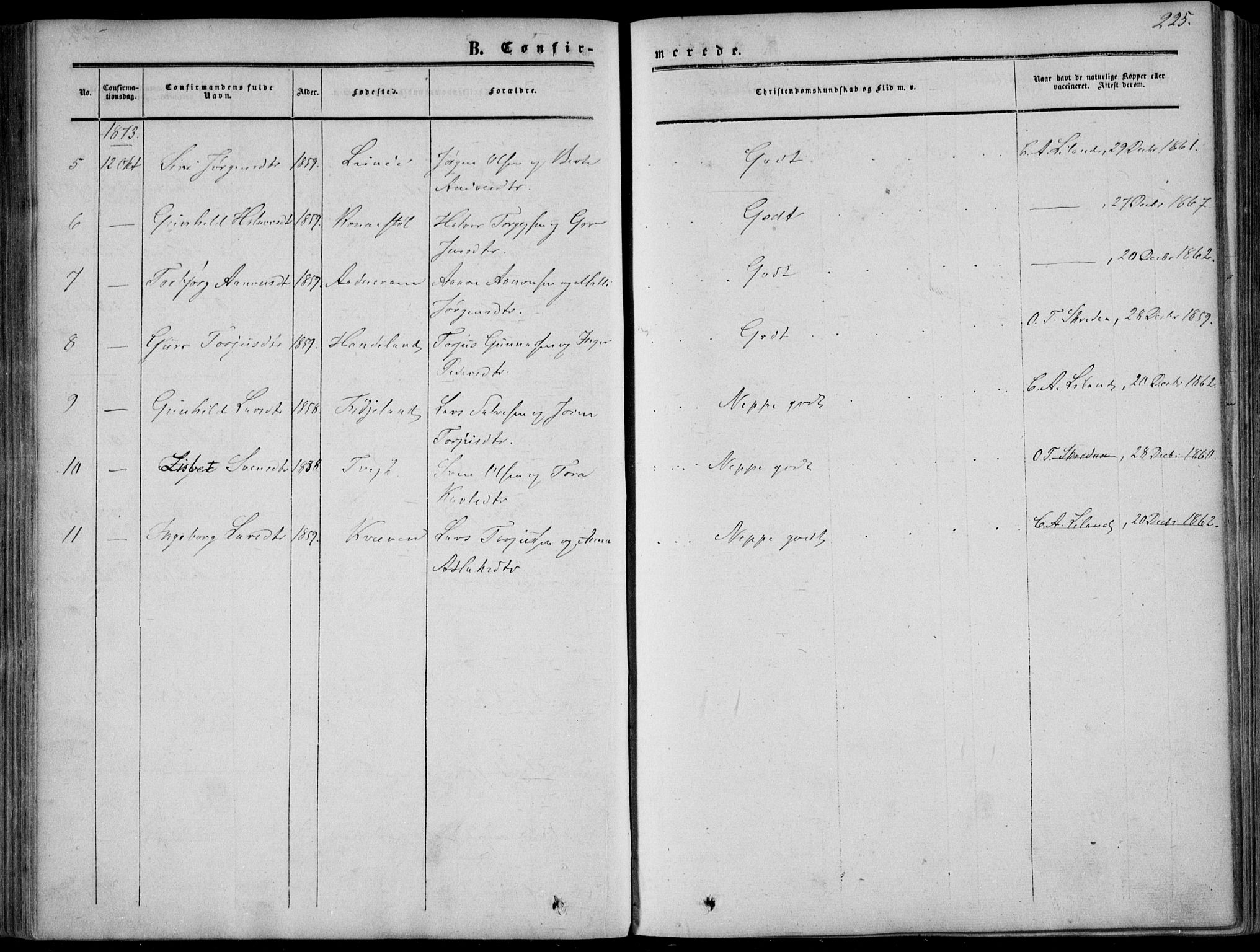 Sirdal sokneprestkontor, AV/SAK-1111-0036/F/Fa/Fab/L0002: Parish register (official) no. A 2, 1855-1874, p. 225