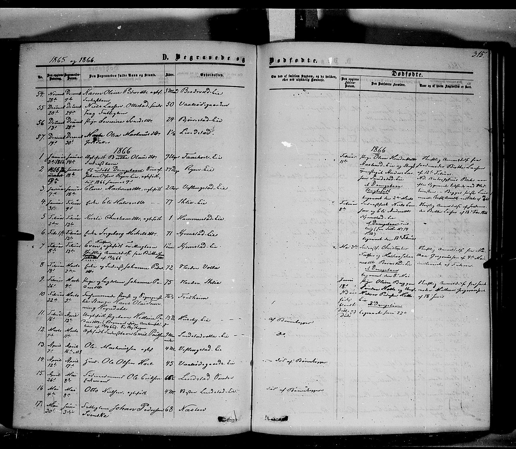 Stange prestekontor, AV/SAH-PREST-002/K/L0013: Parish register (official) no. 13, 1862-1879, p. 315
