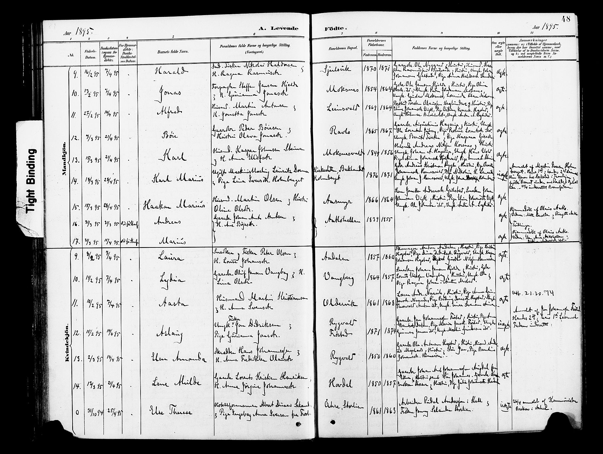 Ministerialprotokoller, klokkerbøker og fødselsregistre - Nord-Trøndelag, SAT/A-1458/713/L0121: Parish register (official) no. 713A10, 1888-1898, p. 48