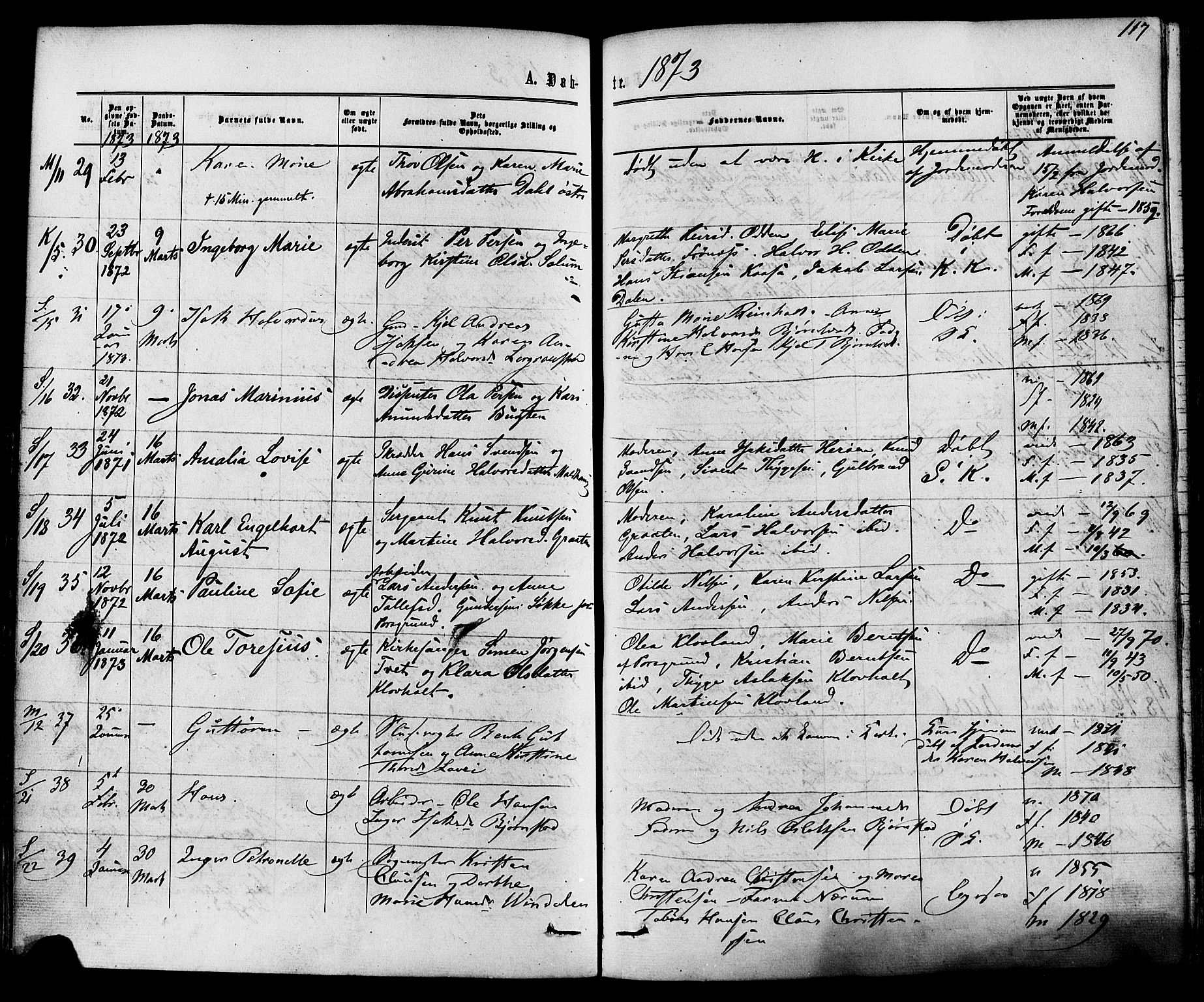 Solum kirkebøker, AV/SAKO-A-306/F/Fa/L0008: Parish register (official) no. I 8, 1865-1876, p. 117