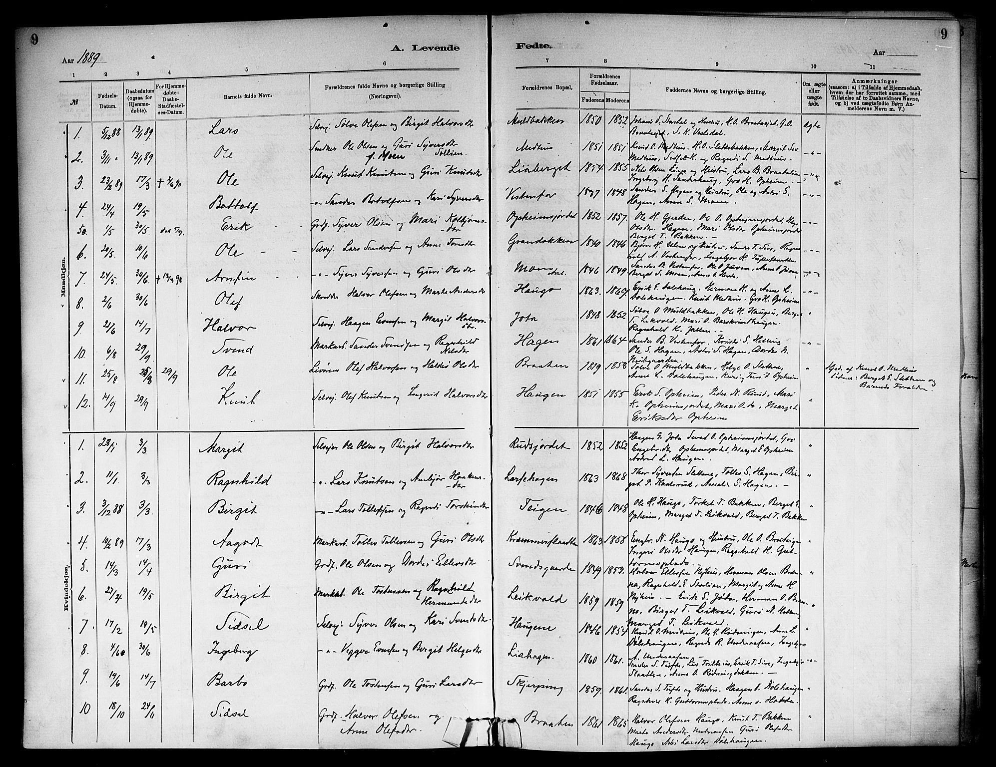 Ål kirkebøker, SAKO/A-249/F/Fb/L0001: Parish register (official) no. II 1, 1882-1899, p. 9