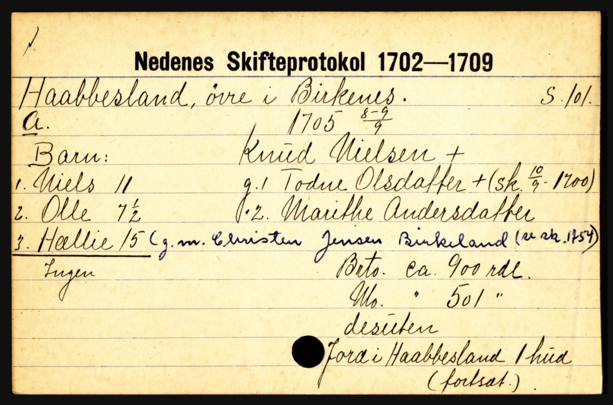 Nedenes sorenskriveri før 1824, AV/SAK-1221-0007/H, p. 13705