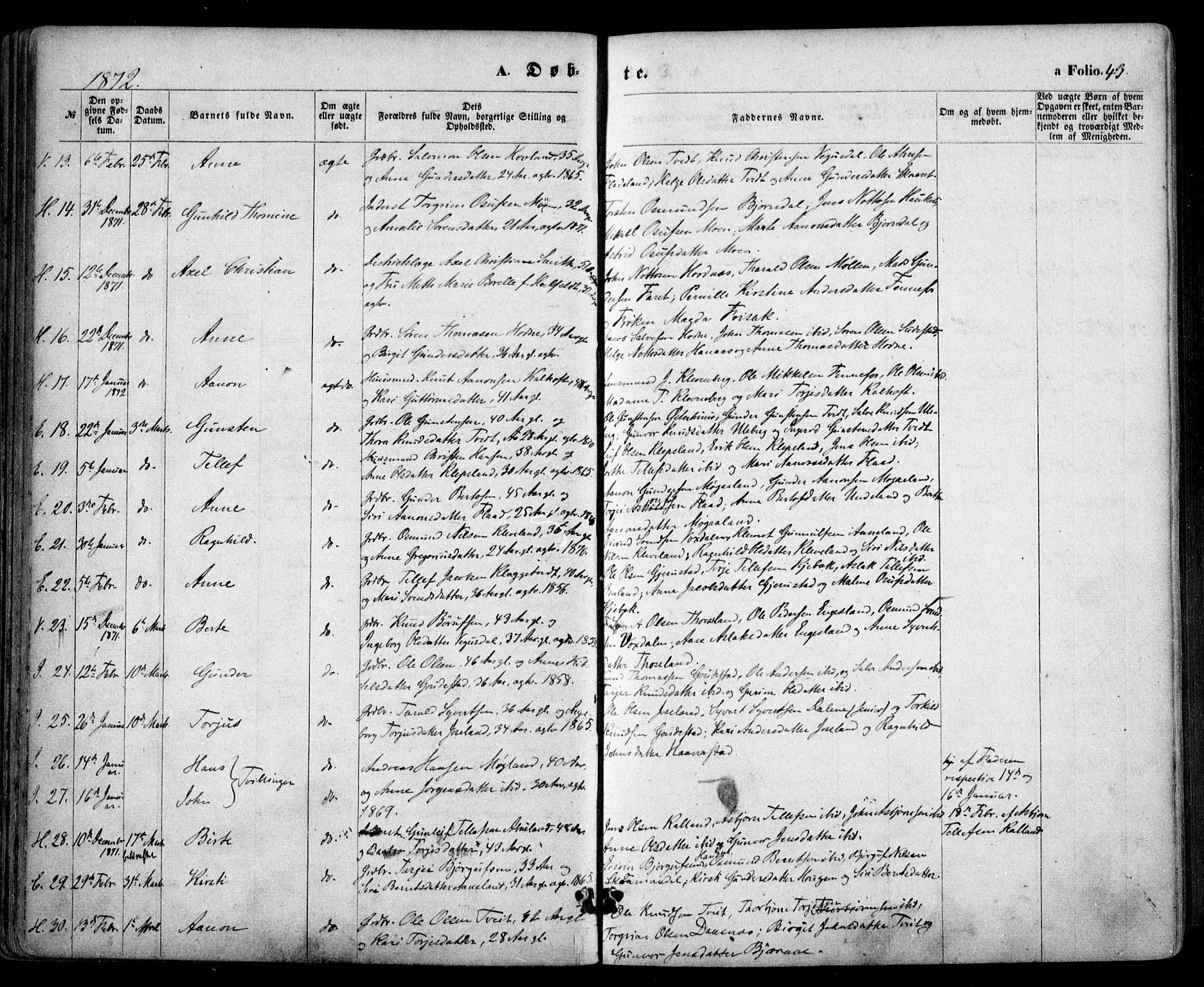 Evje sokneprestkontor, SAK/1111-0008/F/Fa/Faa/L0006: Parish register (official) no. A 6, 1866-1884, p. 43
