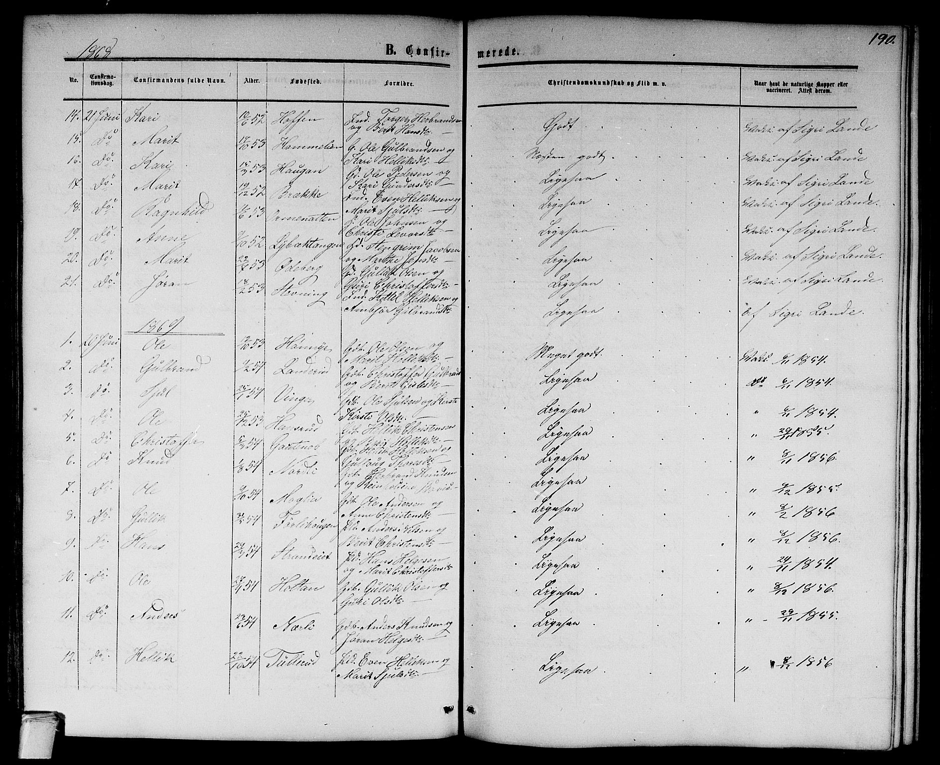 Flesberg kirkebøker, SAKO/A-18/G/Ga/L0003: Parish register (copy) no. I 3, 1861-1889, p. 190