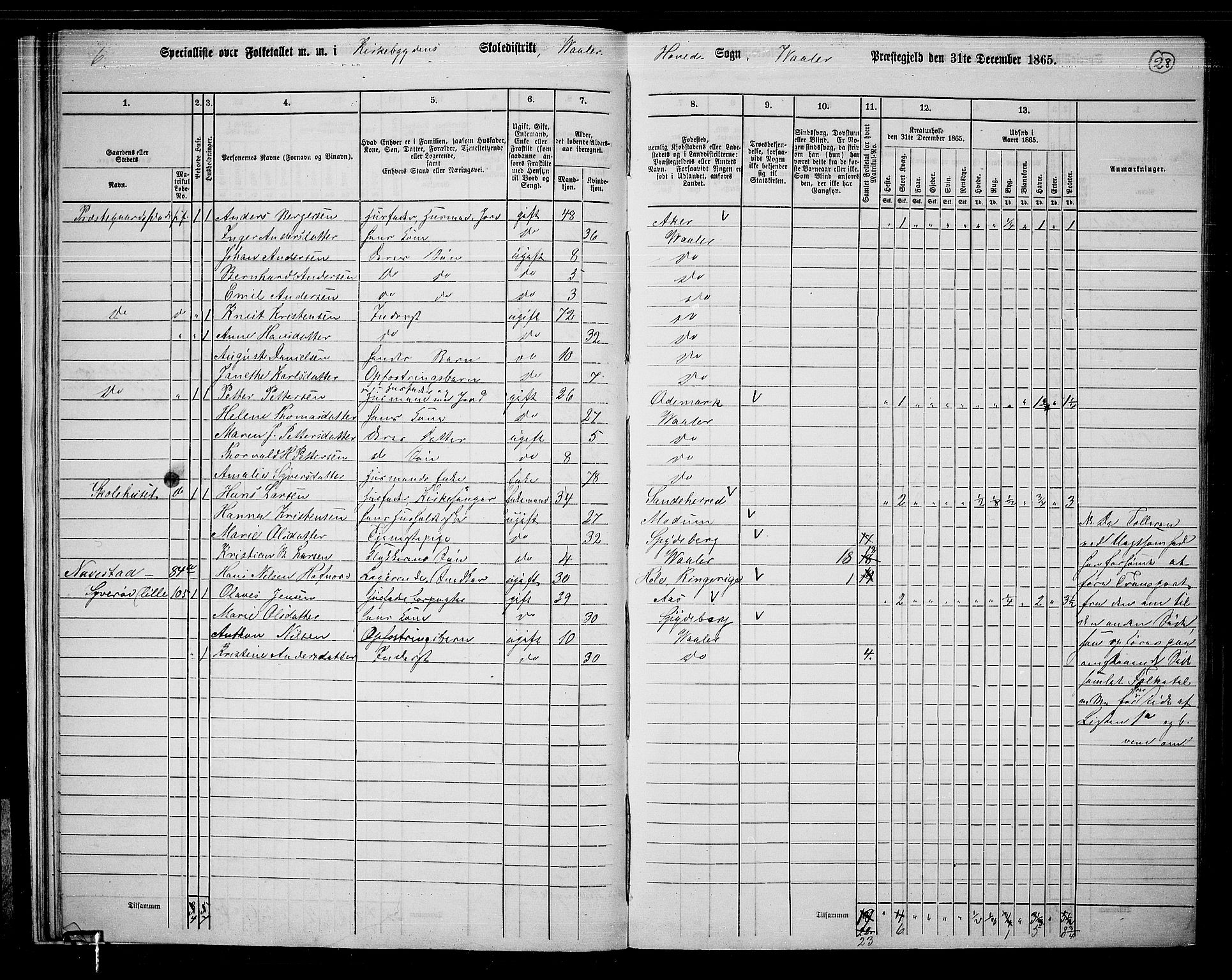 RA, 1865 census for Våler, 1865, p. 29