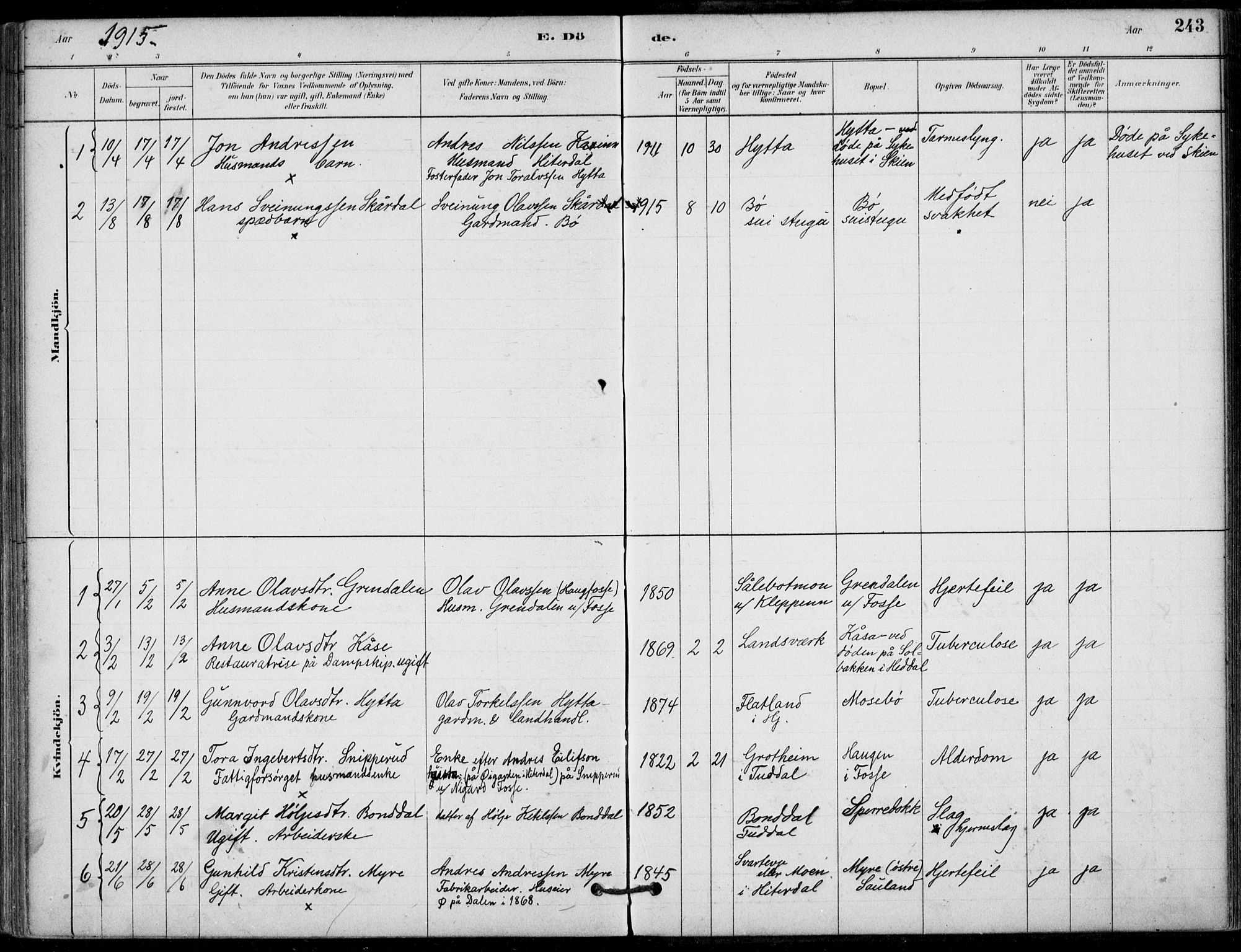 Hjartdal kirkebøker, SAKO/A-270/F/Fb/L0002: Parish register (official) no. II 2, 1880-1932, p. 243