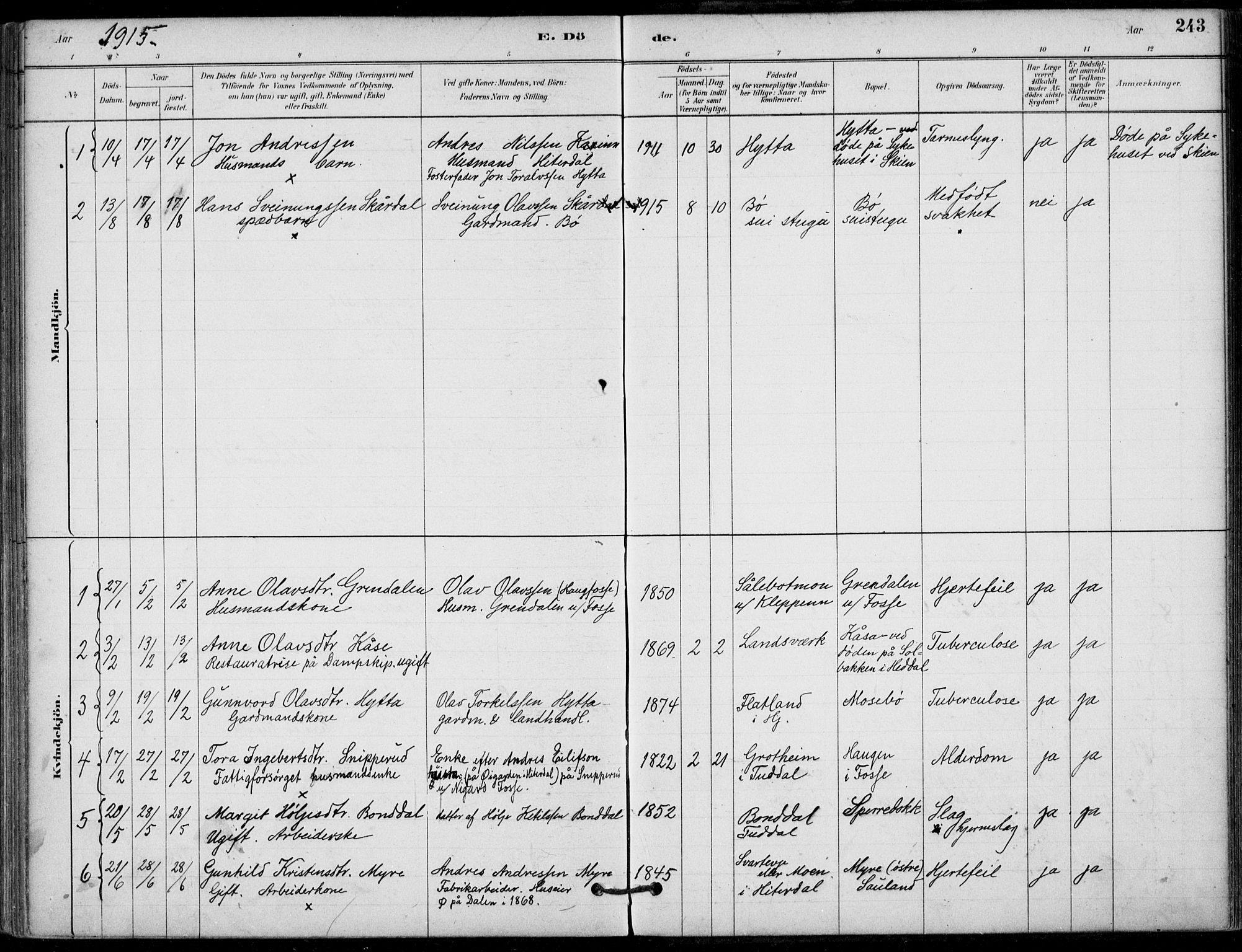 Hjartdal kirkebøker, AV/SAKO-A-270/F/Fb/L0002: Parish register (official) no. II 2, 1880-1932, p. 243