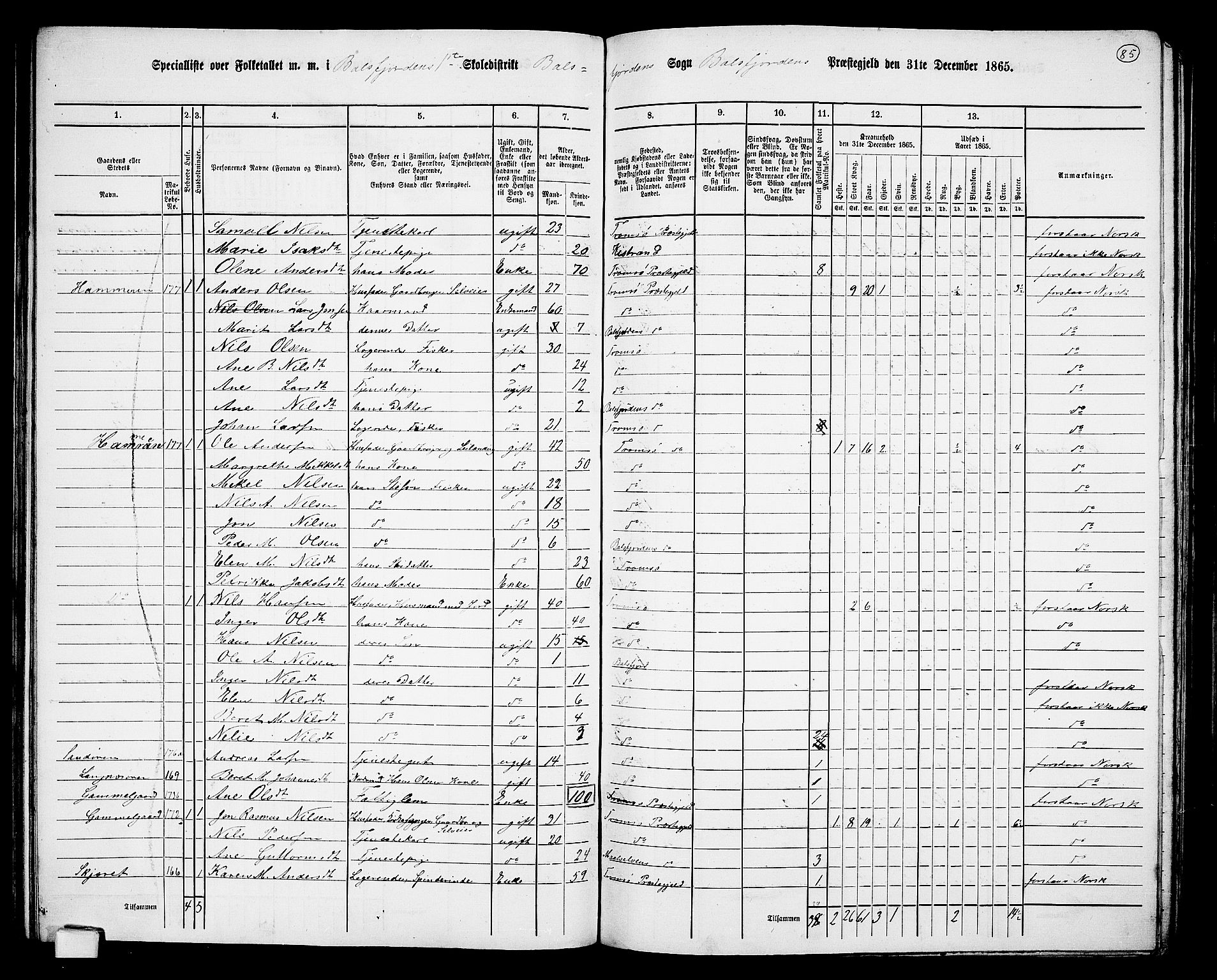 RA, 1865 census for Balsfjord, 1865, p. 28