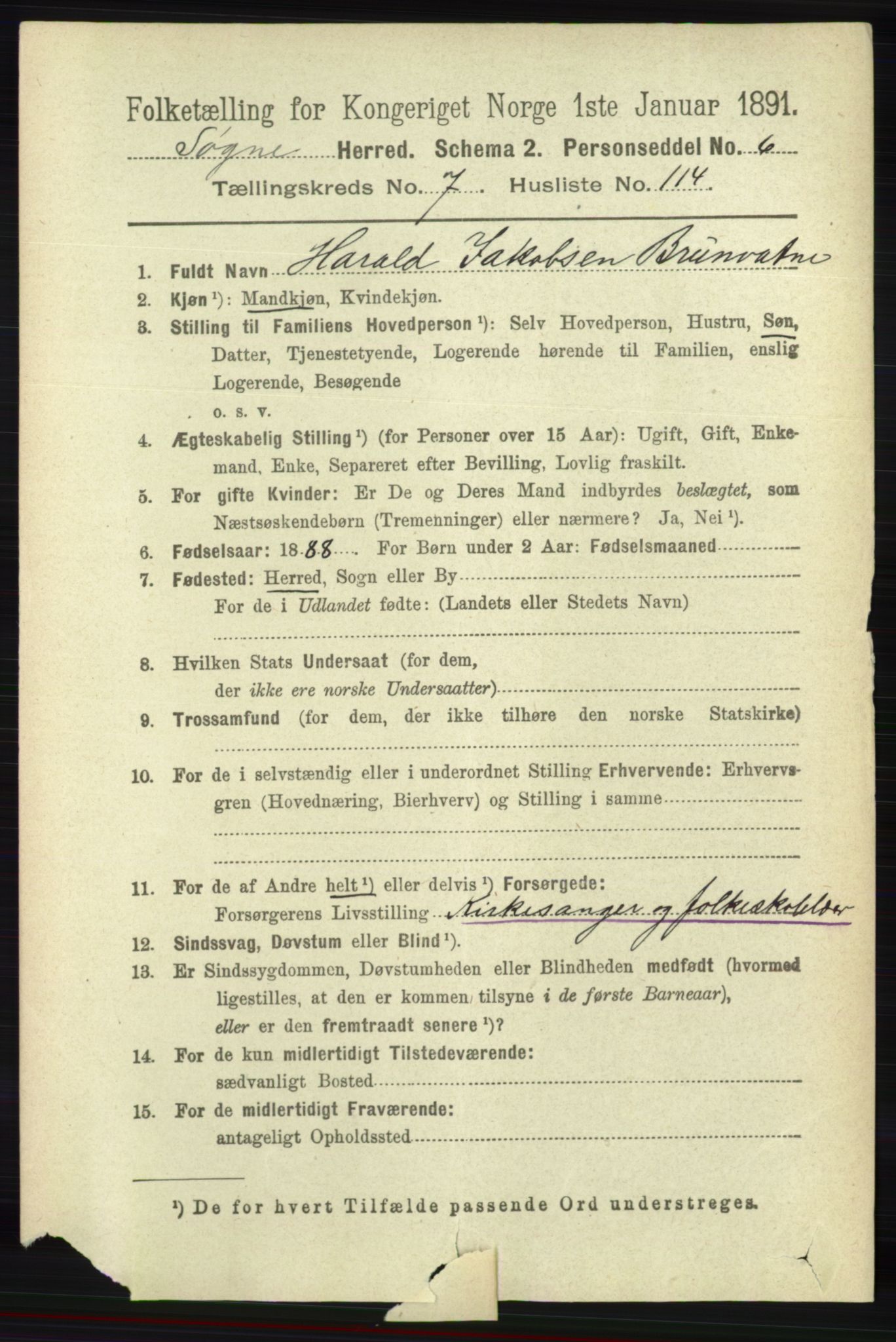 RA, 1891 census for 1018 Søgne, 1891, p. 2164