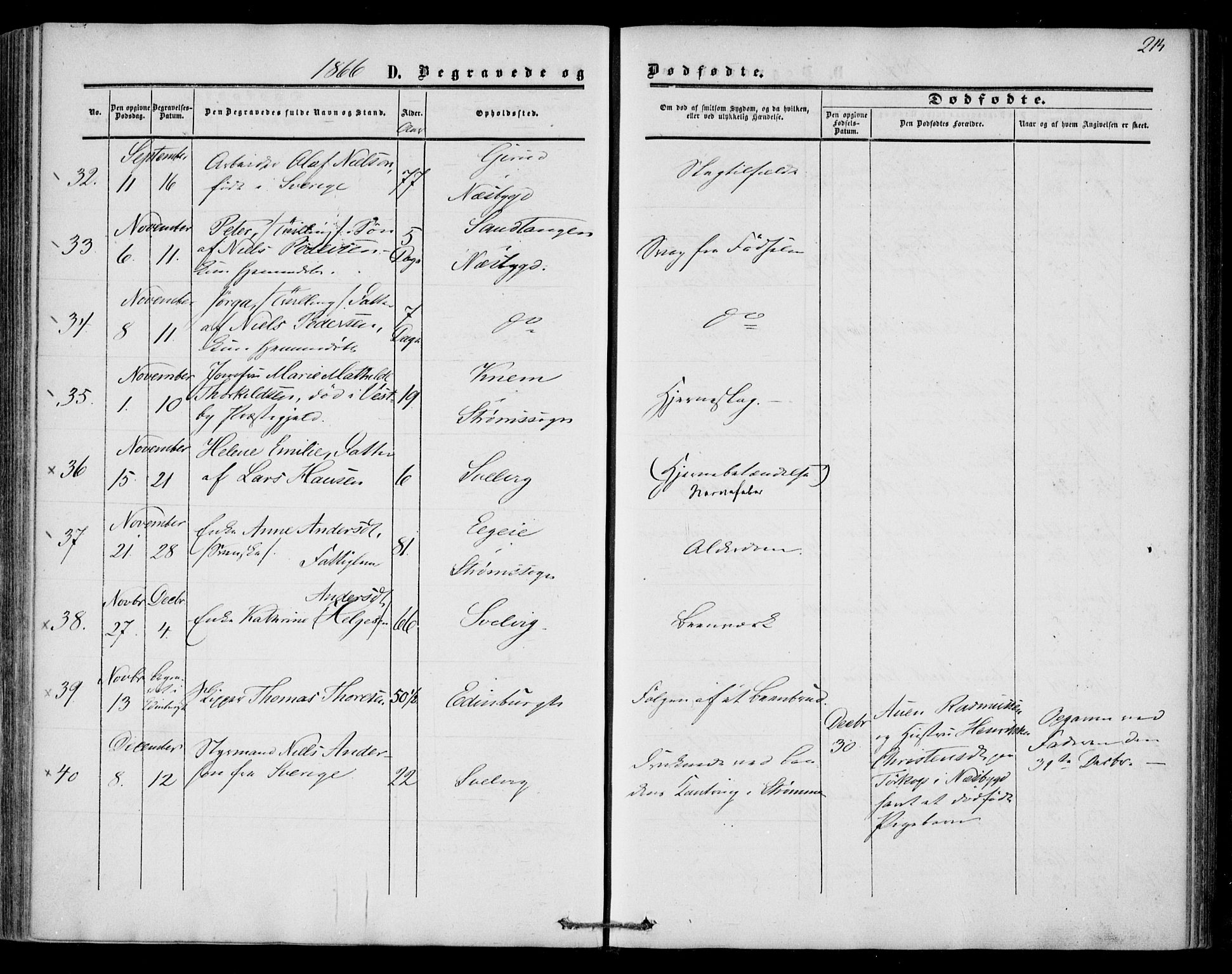 Strømm kirkebøker, AV/SAKO-A-322/F/Fa/L0001: Parish register (official) no. I 1, 1861-1869, p. 214