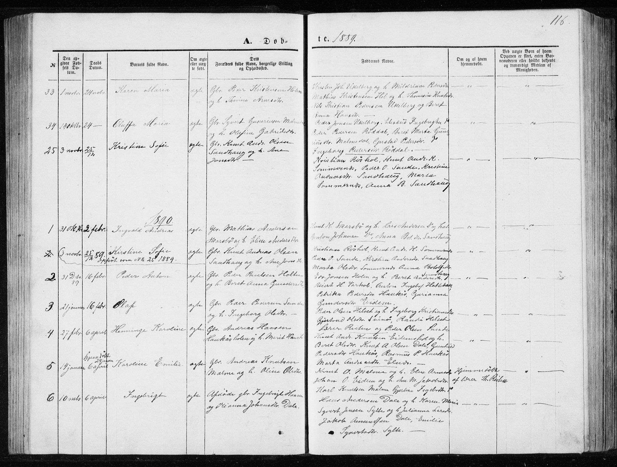 Ministerialprotokoller, klokkerbøker og fødselsregistre - Møre og Romsdal, SAT/A-1454/565/L0754: Parish register (copy) no. 565C03, 1870-1896, p. 116