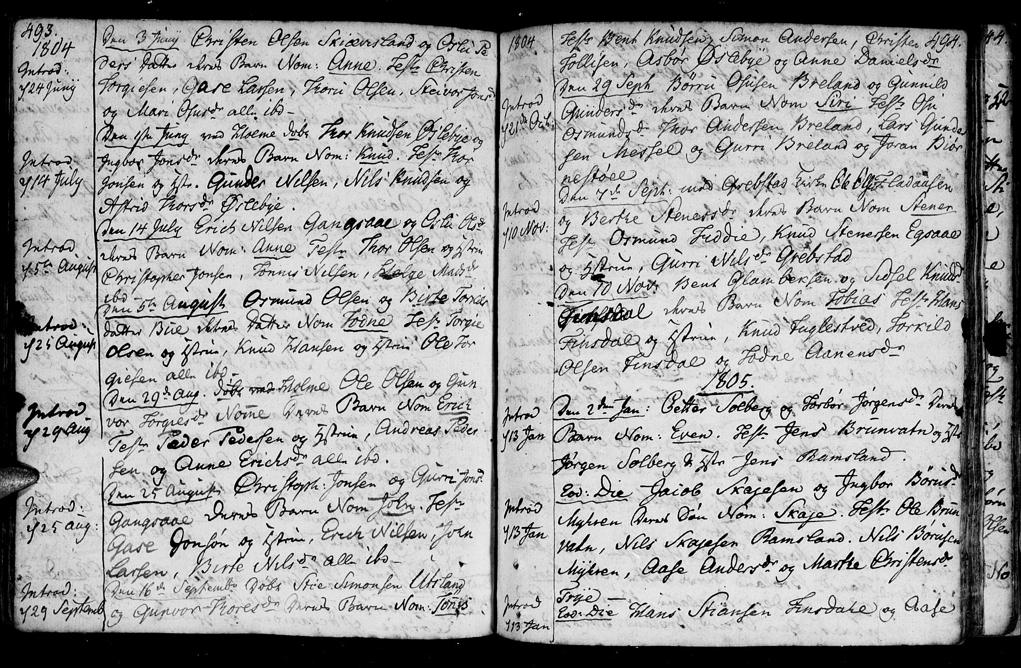 Holum sokneprestkontor, AV/SAK-1111-0022/F/Fa/Fac/L0001: Parish register (official) no. A 1, 1773-1820, p. 493-494