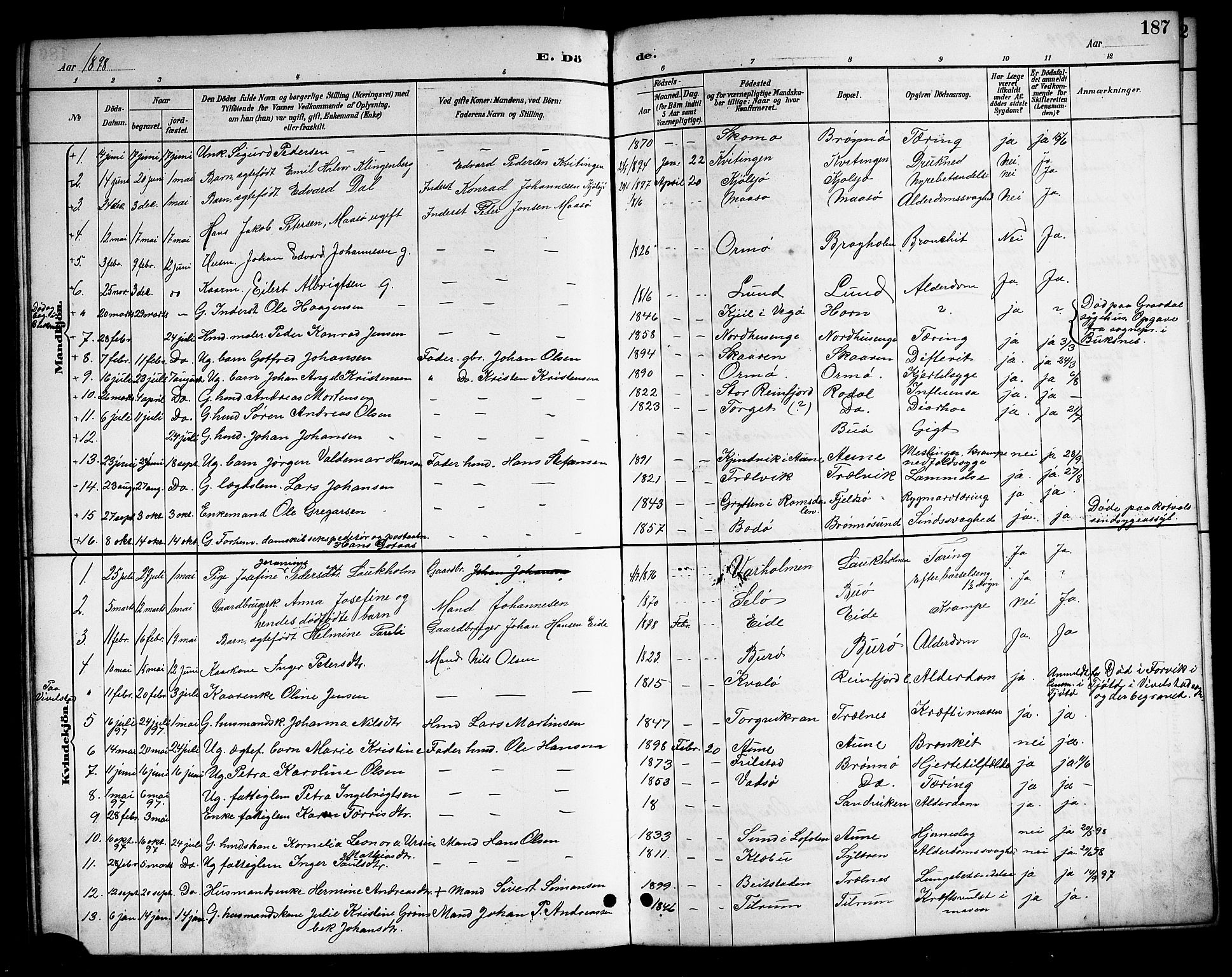 Ministerialprotokoller, klokkerbøker og fødselsregistre - Nordland, AV/SAT-A-1459/813/L0213: Parish register (copy) no. 813C05, 1887-1903, p. 187