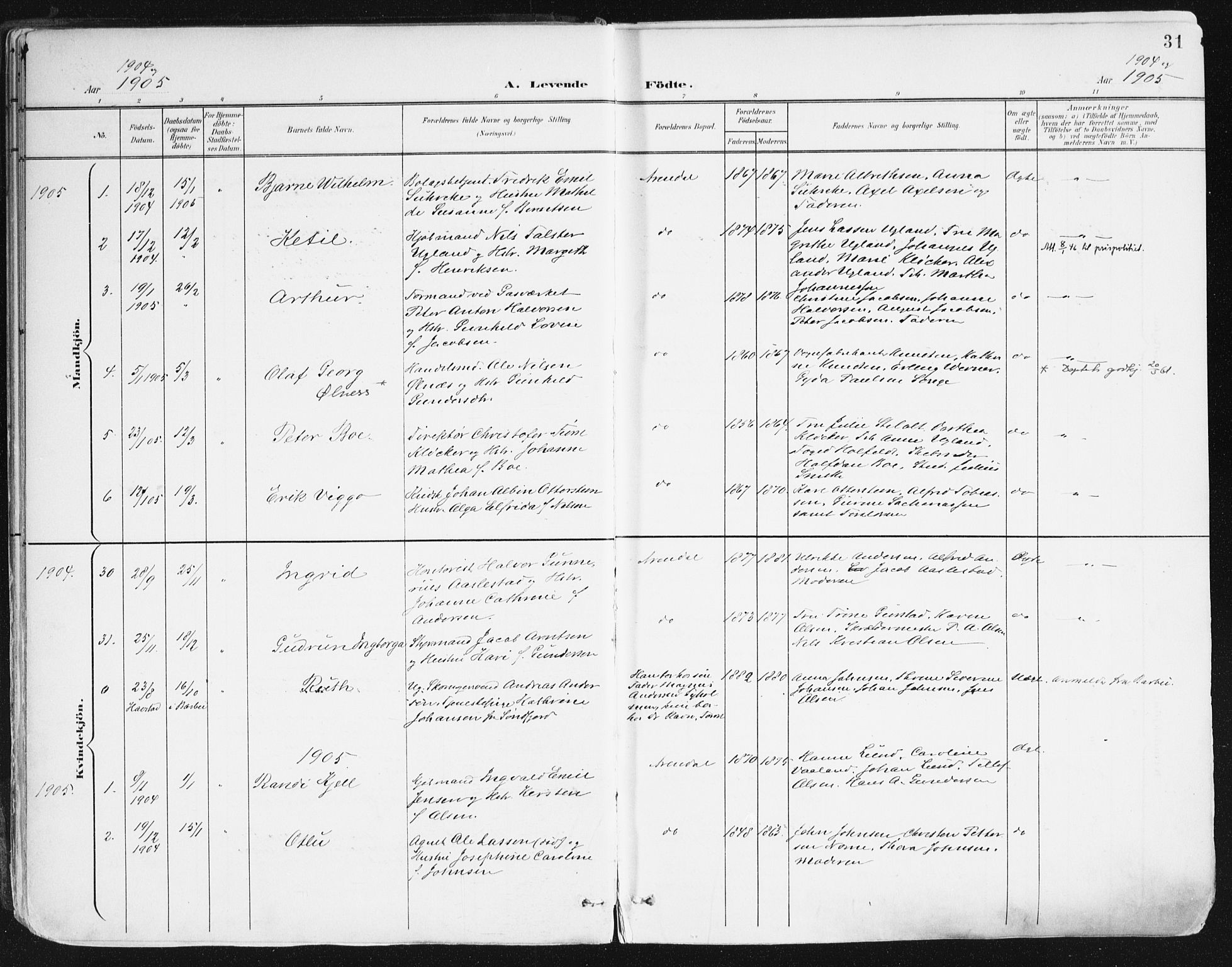 Arendal sokneprestkontor, Trefoldighet, SAK/1111-0040/F/Fa/L0010: Parish register (official) no. A 10, 1900-1919, p. 31