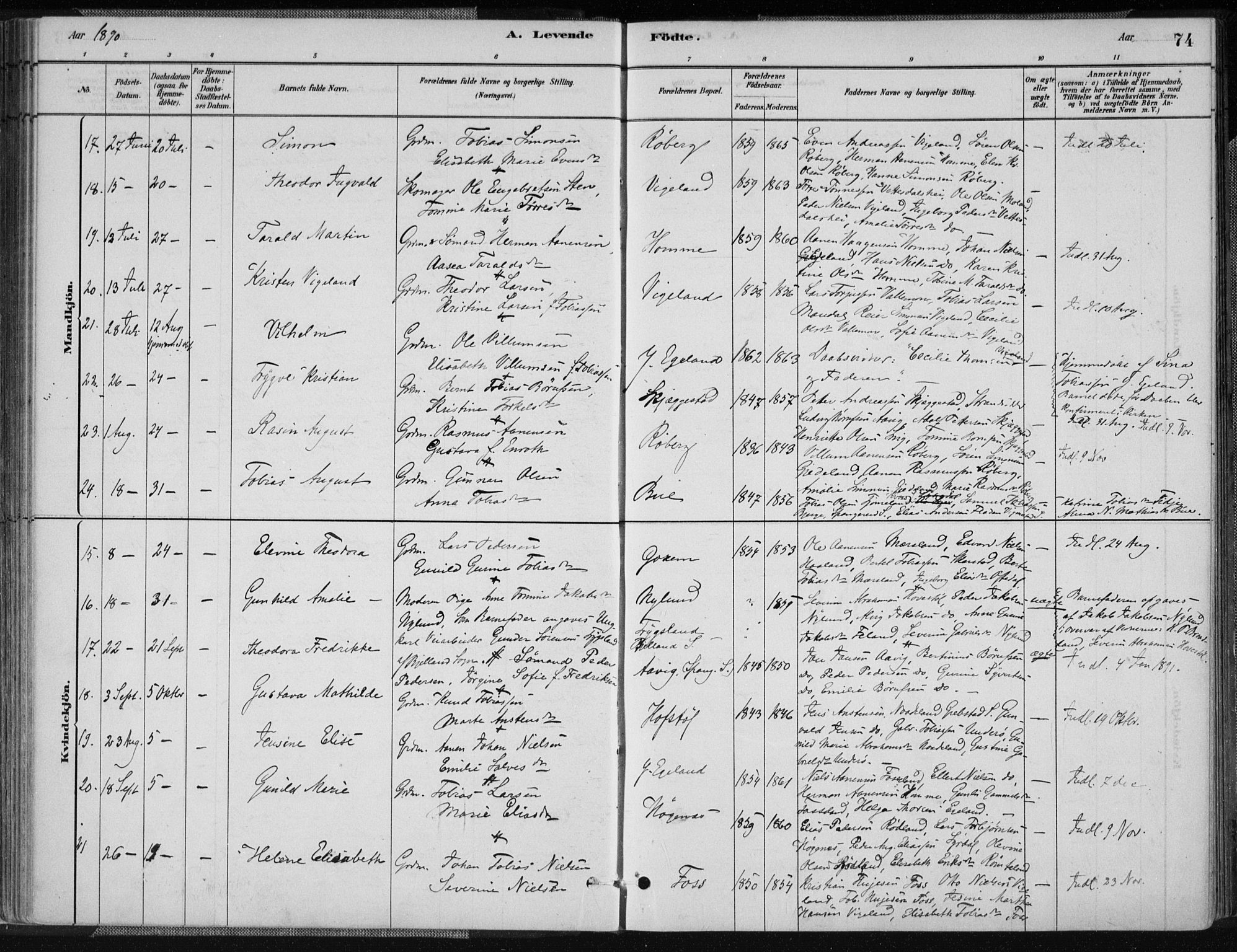 Sør-Audnedal sokneprestkontor, SAK/1111-0039/F/Fa/Fab/L0009: Parish register (official) no. A 9, 1880-1895, p. 74