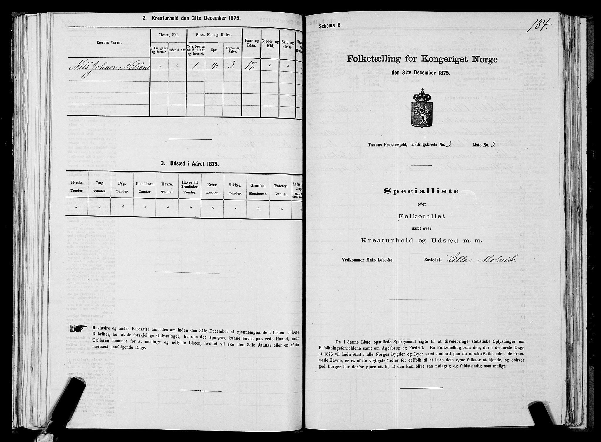 SATØ, 1875 census for 2025P Tana, 1875, p. 1134