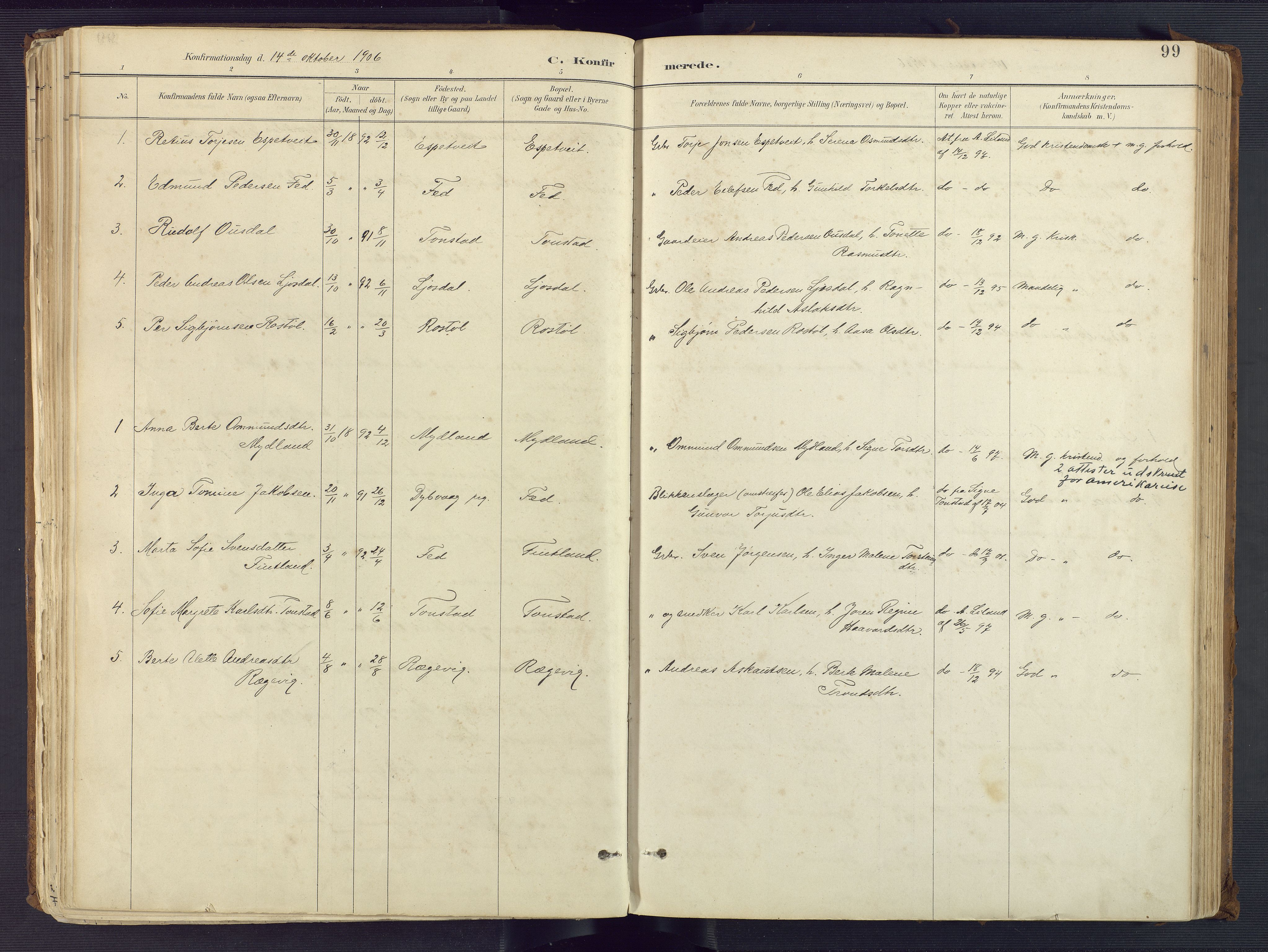 Sirdal sokneprestkontor, AV/SAK-1111-0036/F/Fa/Fab/L0004: Parish register (official) no. A 4, 1887-1919, p. 99