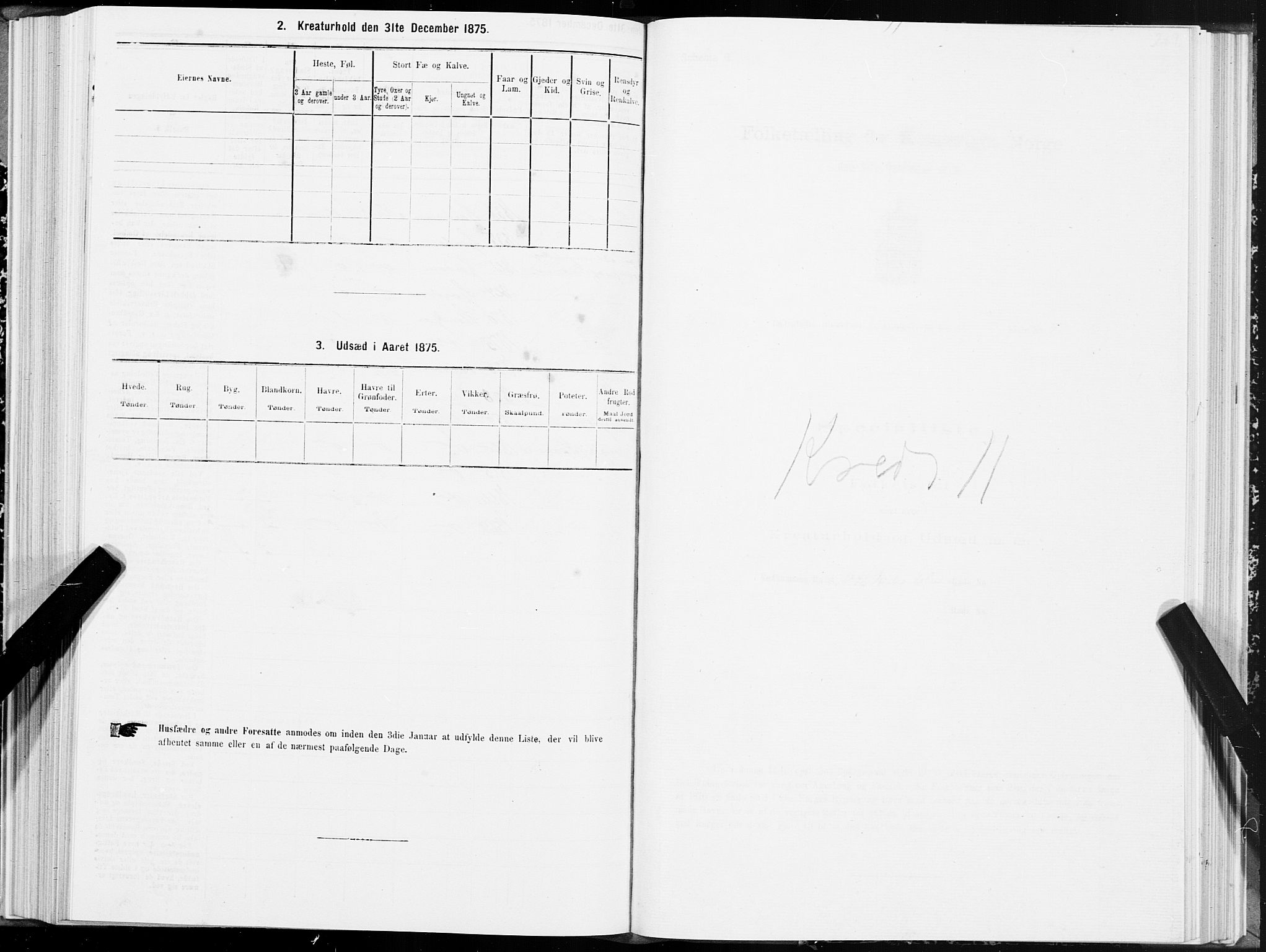 SAT, 1875 census for 1702B Steinkjer/Steinkjer, 1875