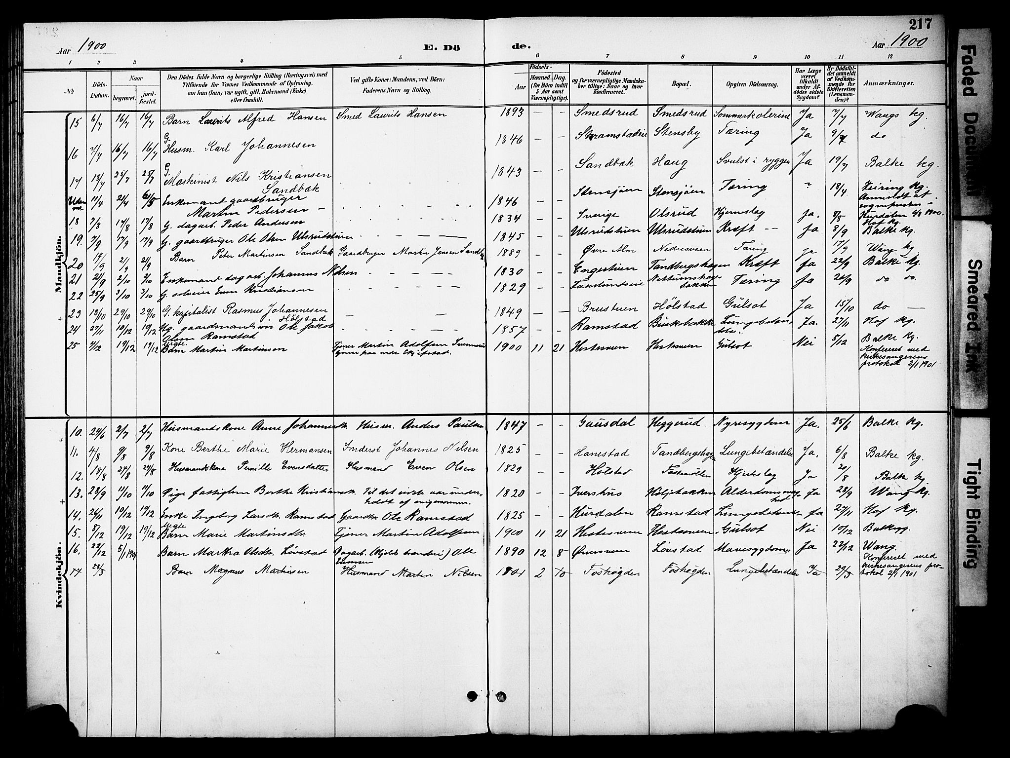 Østre Toten prestekontor, AV/SAH-PREST-104/H/Ha/Haa/L0009: Parish register (official) no. 9, 1897-1913, p. 217