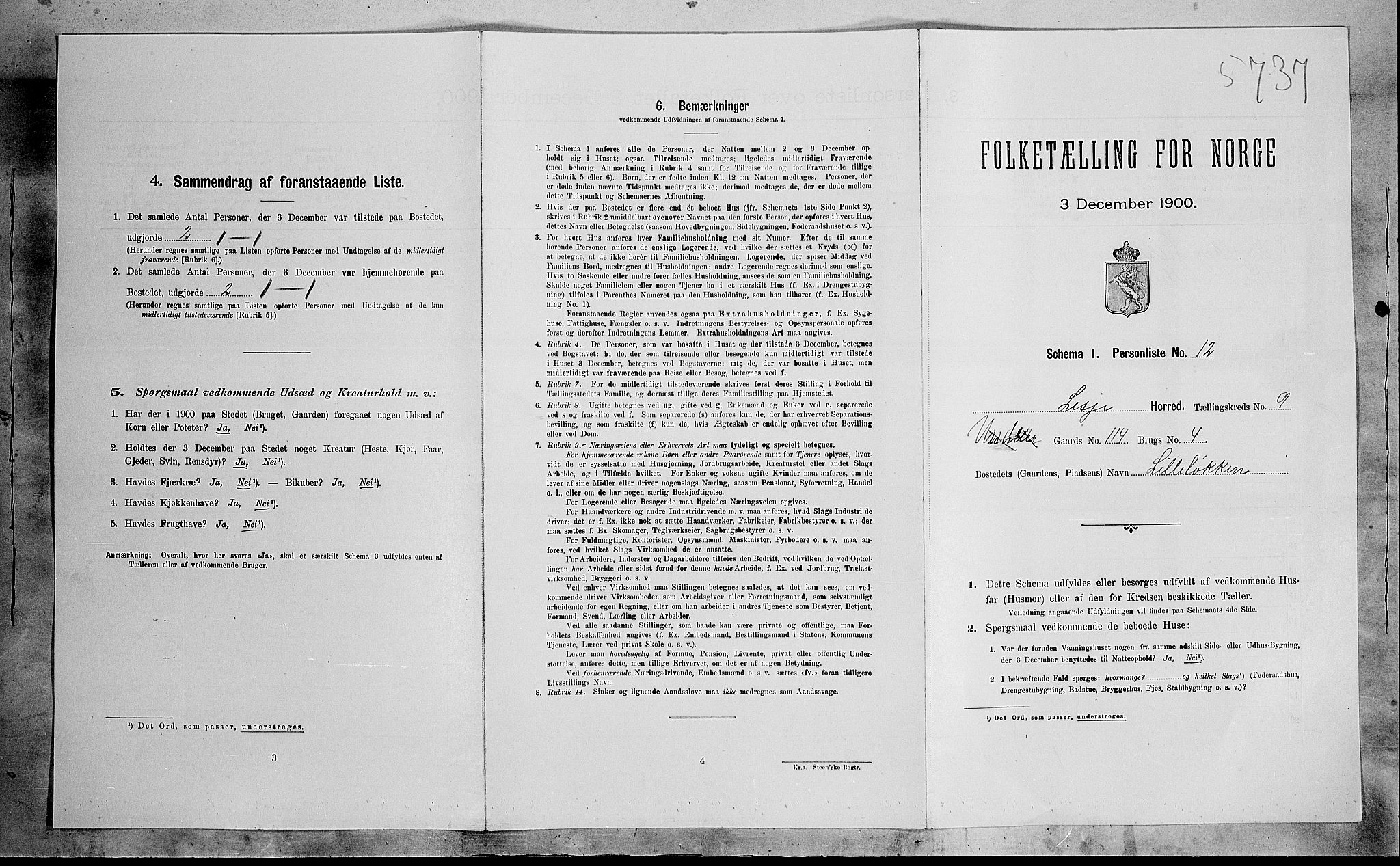 SAH, 1900 census for Lesja, 1900, p. 781