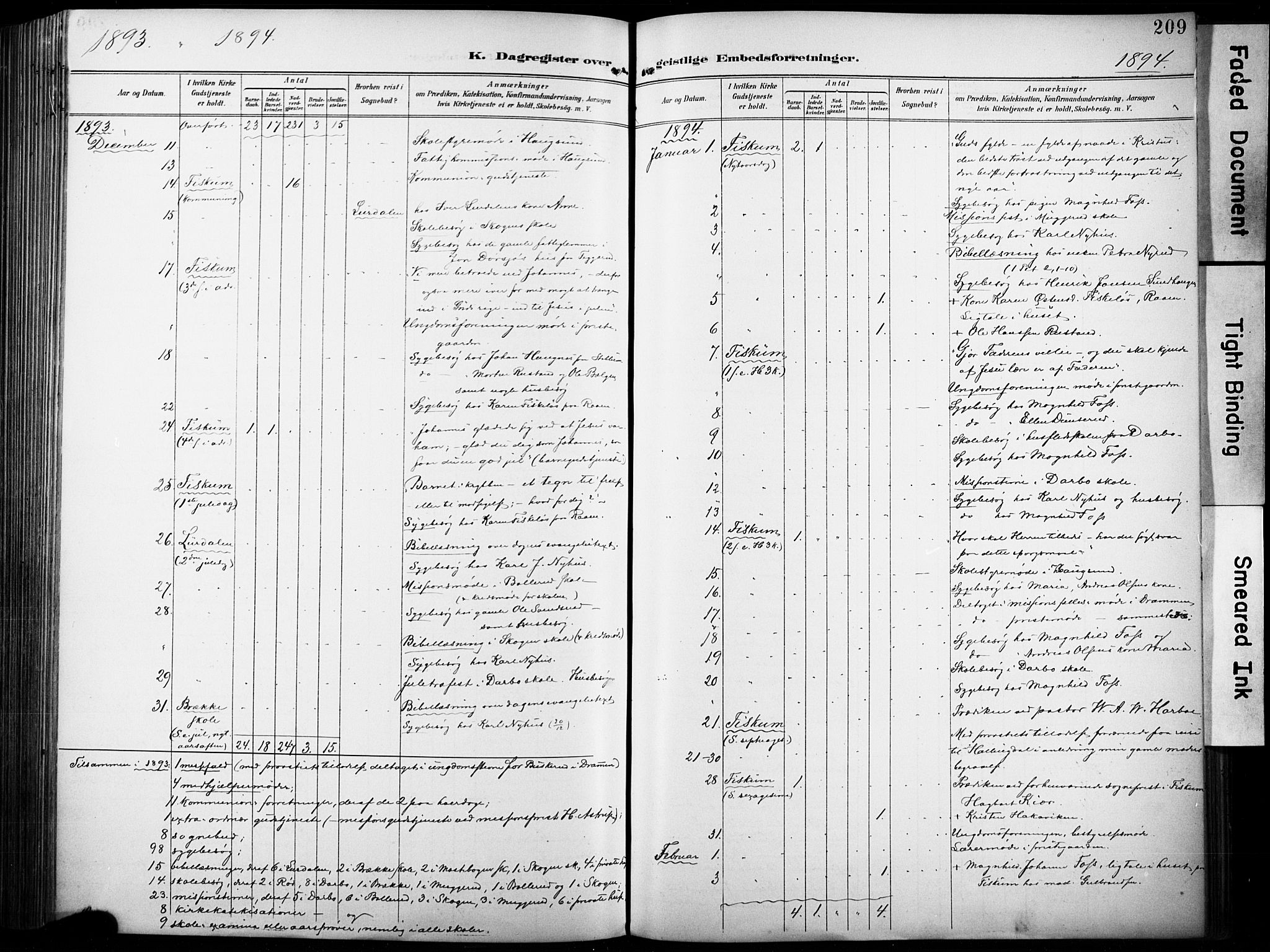 Fiskum kirkebøker, SAKO/A-15/F/Fa/L0003: Parish register (official) no. 3, 1890-1905, p. 209