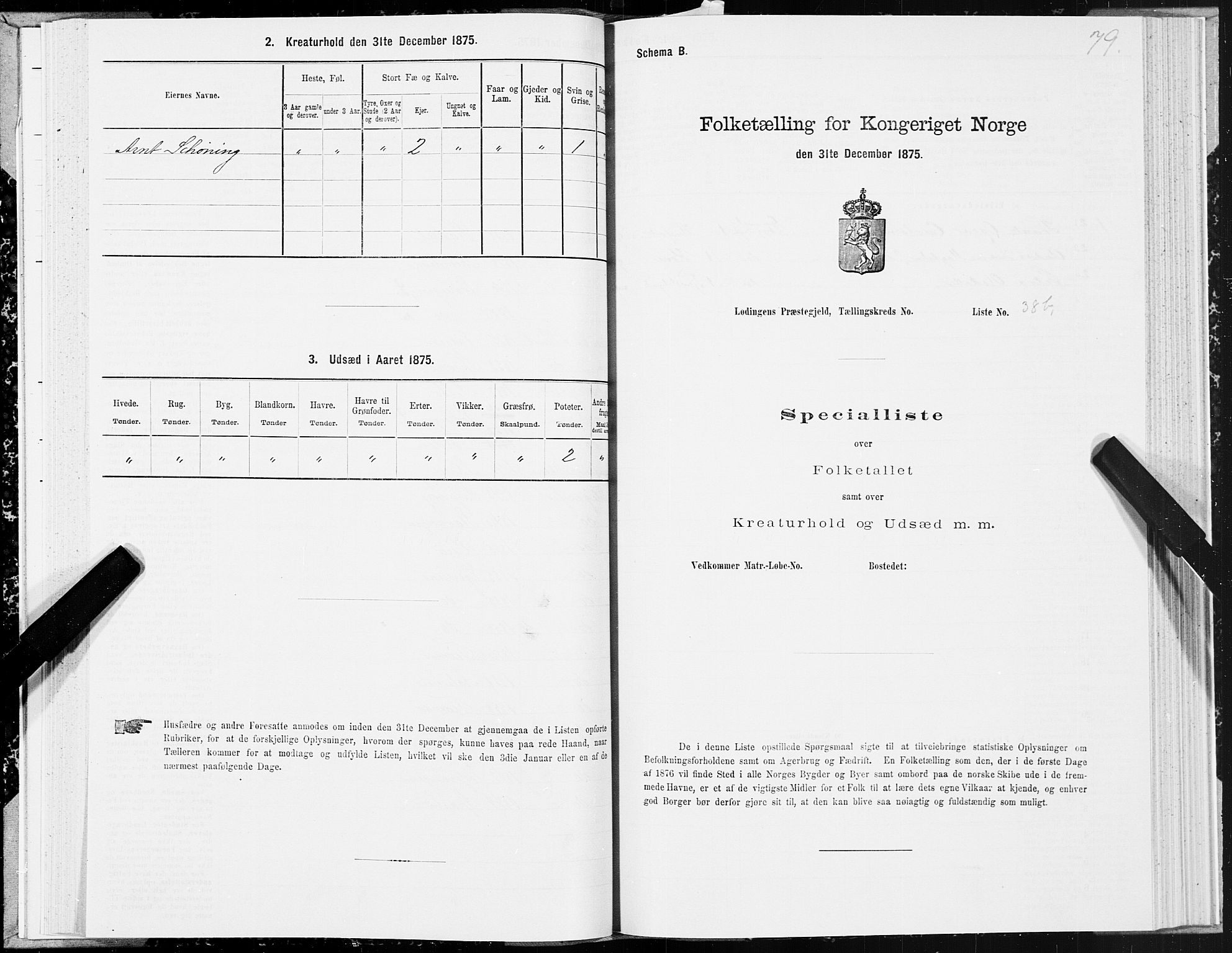 SAT, 1875 census for 1851P Lødingen, 1875, p. 2079