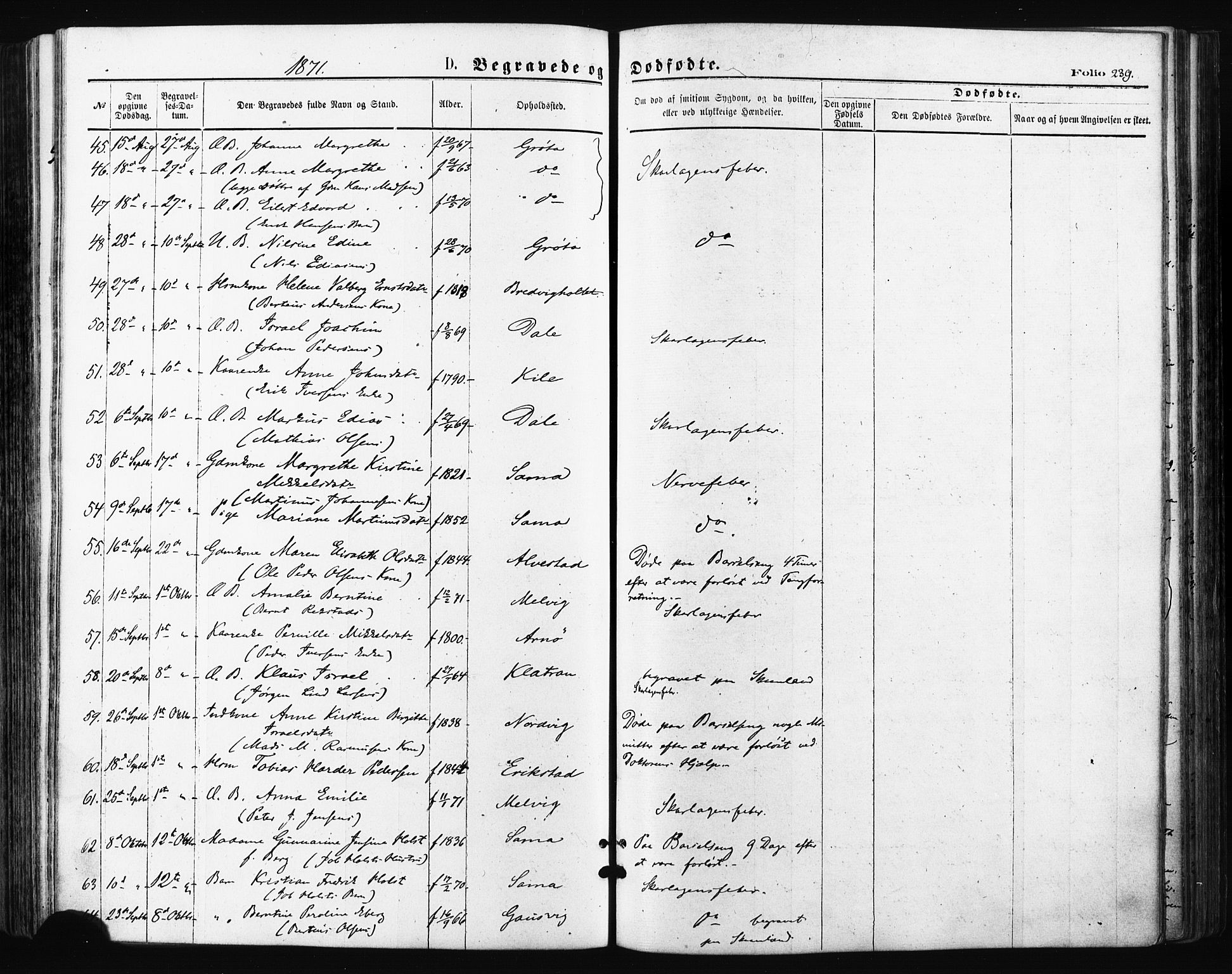 Trondenes sokneprestkontor, AV/SATØ-S-1319/H/Ha/L0013kirke: Parish register (official) no. 13, 1870-1878, p. 239