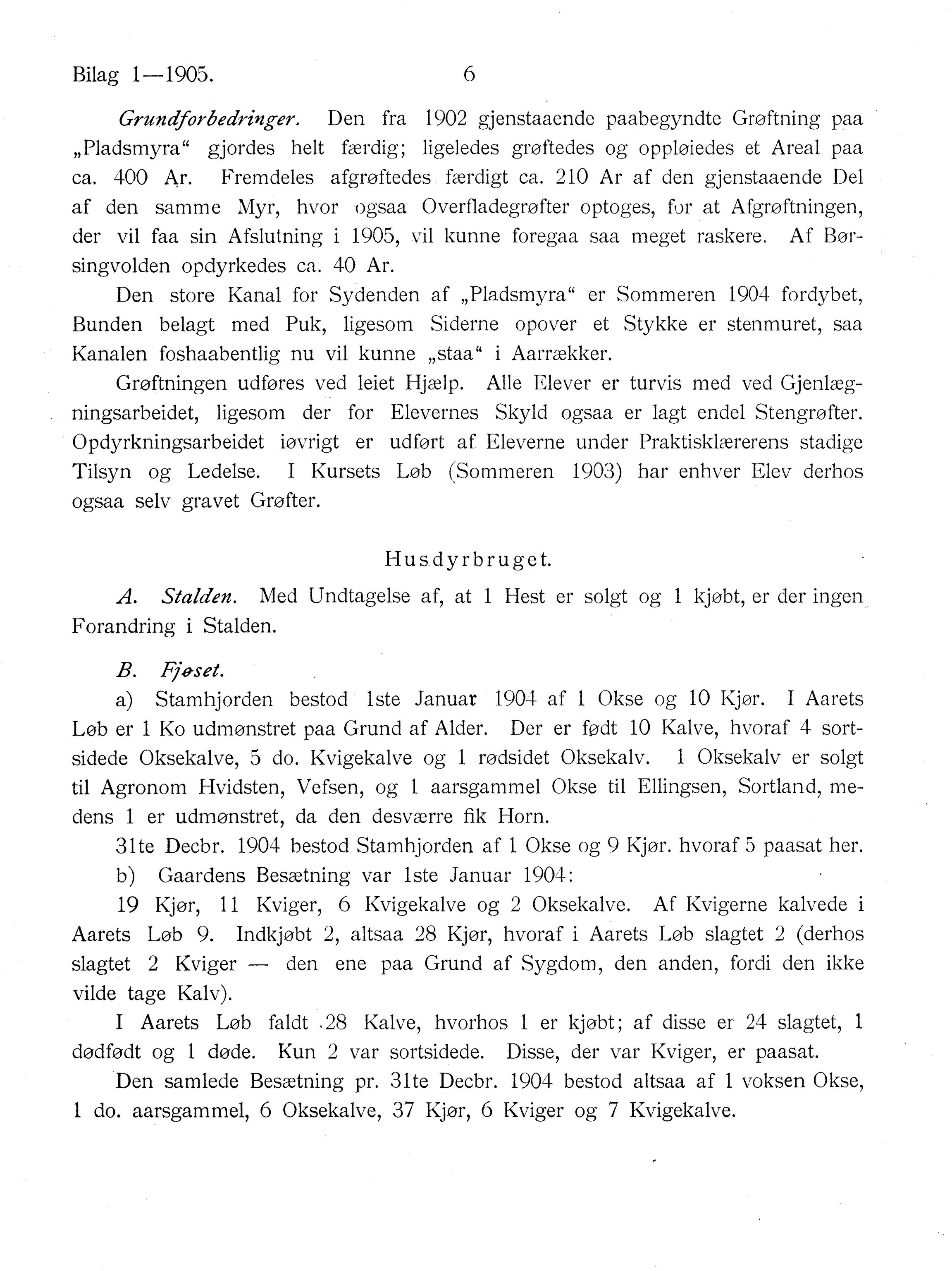 Nordland Fylkeskommune. Fylkestinget, AIN/NFK-17/176/A/Ac/L0028: Fylkestingsforhandlinger 1905, 1905