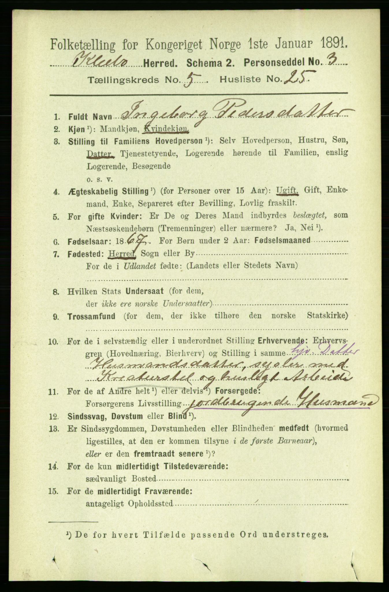 RA, 1891 census for 1662 Klæbu, 1891, p. 1189