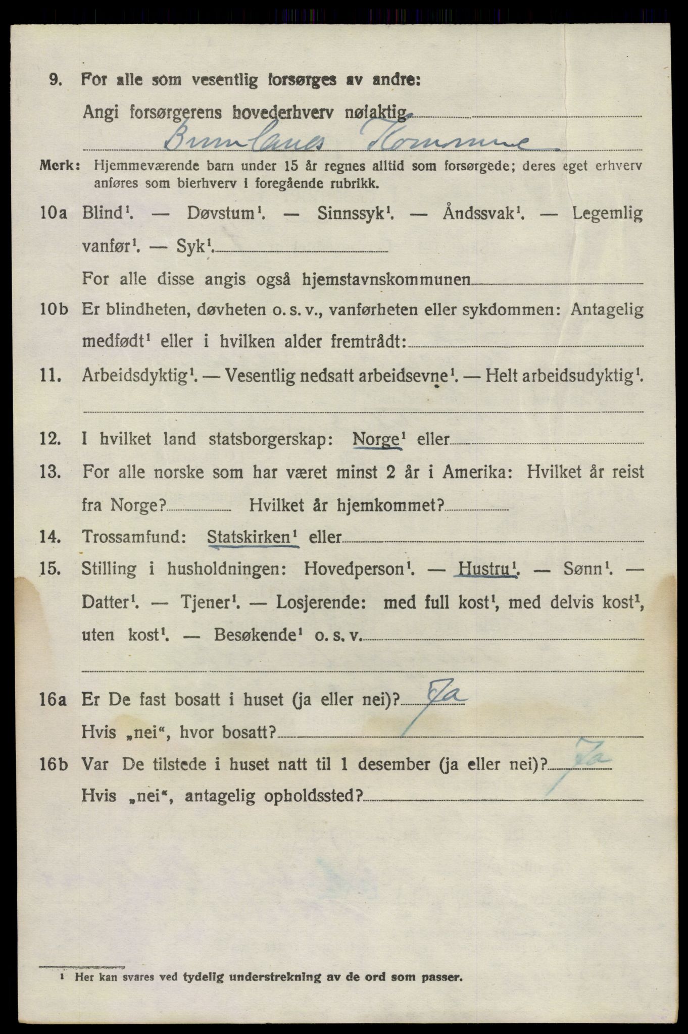 SAKO, 1920 census for Brunlanes, 1920, p. 3318