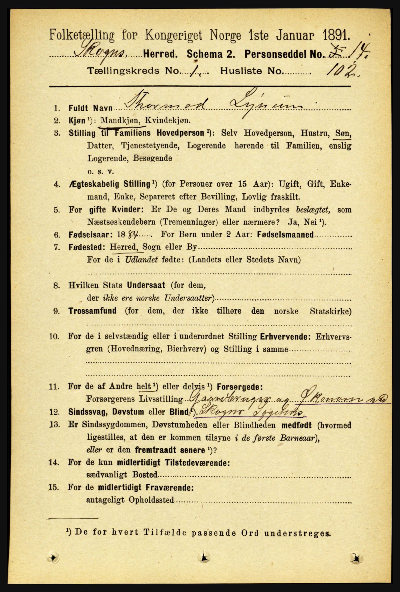 RA, 1891 census for 1719 Skogn, 1891, p. 729