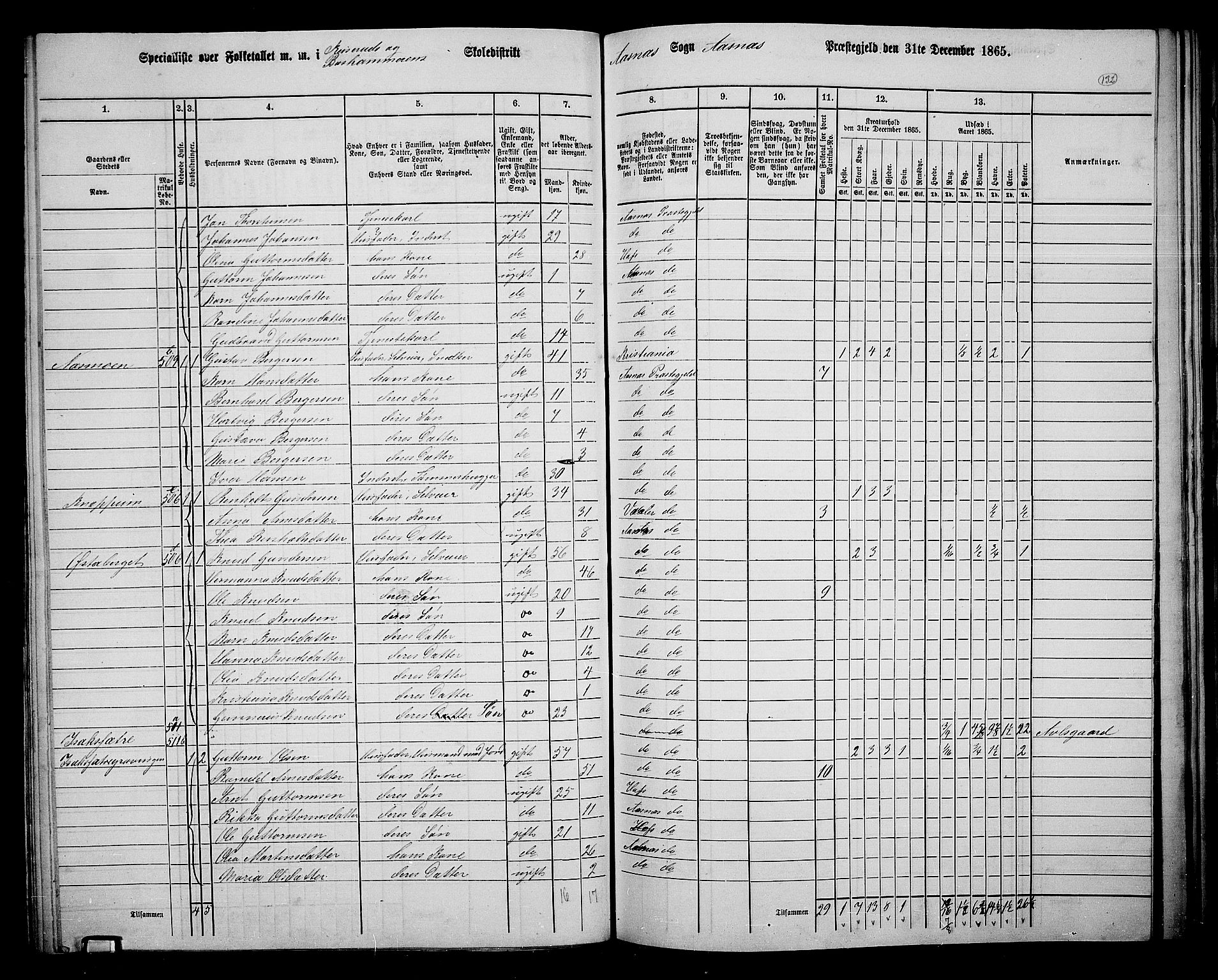 RA, 1865 census for Åsnes, 1865, p. 123