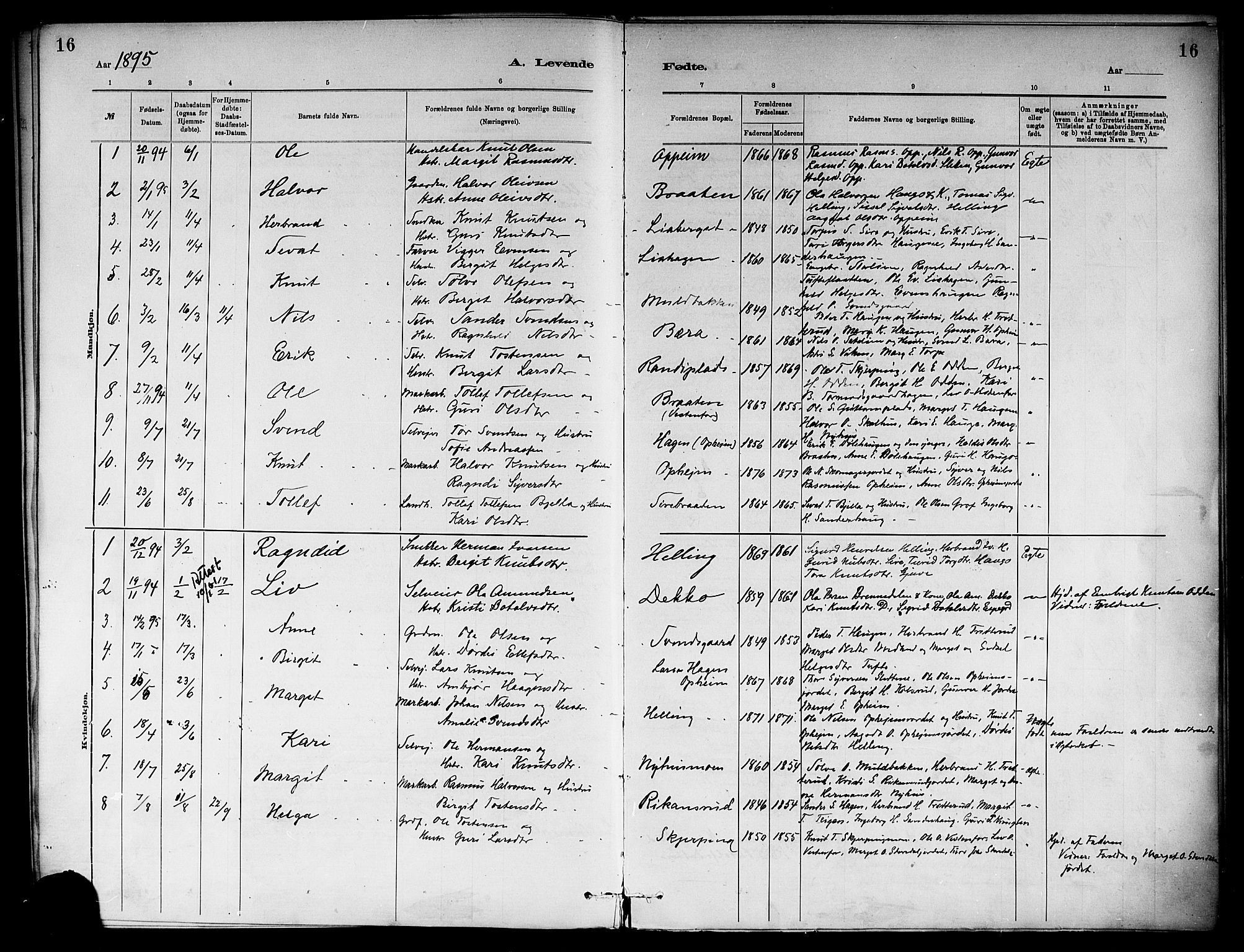 Ål kirkebøker, SAKO/A-249/F/Fb/L0001: Parish register (official) no. II 1, 1882-1899, p. 16