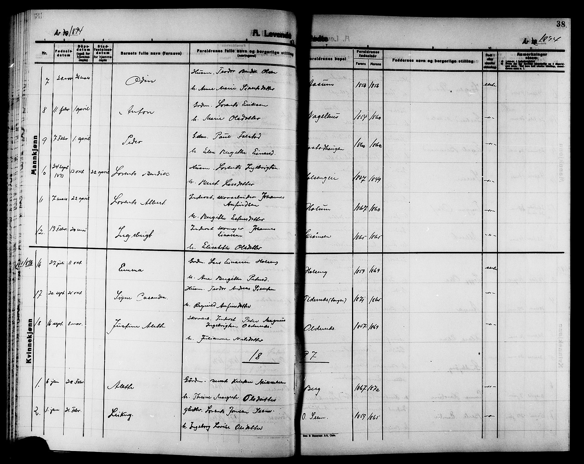 Ministerialprotokoller, klokkerbøker og fødselsregistre - Nord-Trøndelag, SAT/A-1458/749/L0487: Parish register (official) no. 749D03, 1887-1902, p. 38