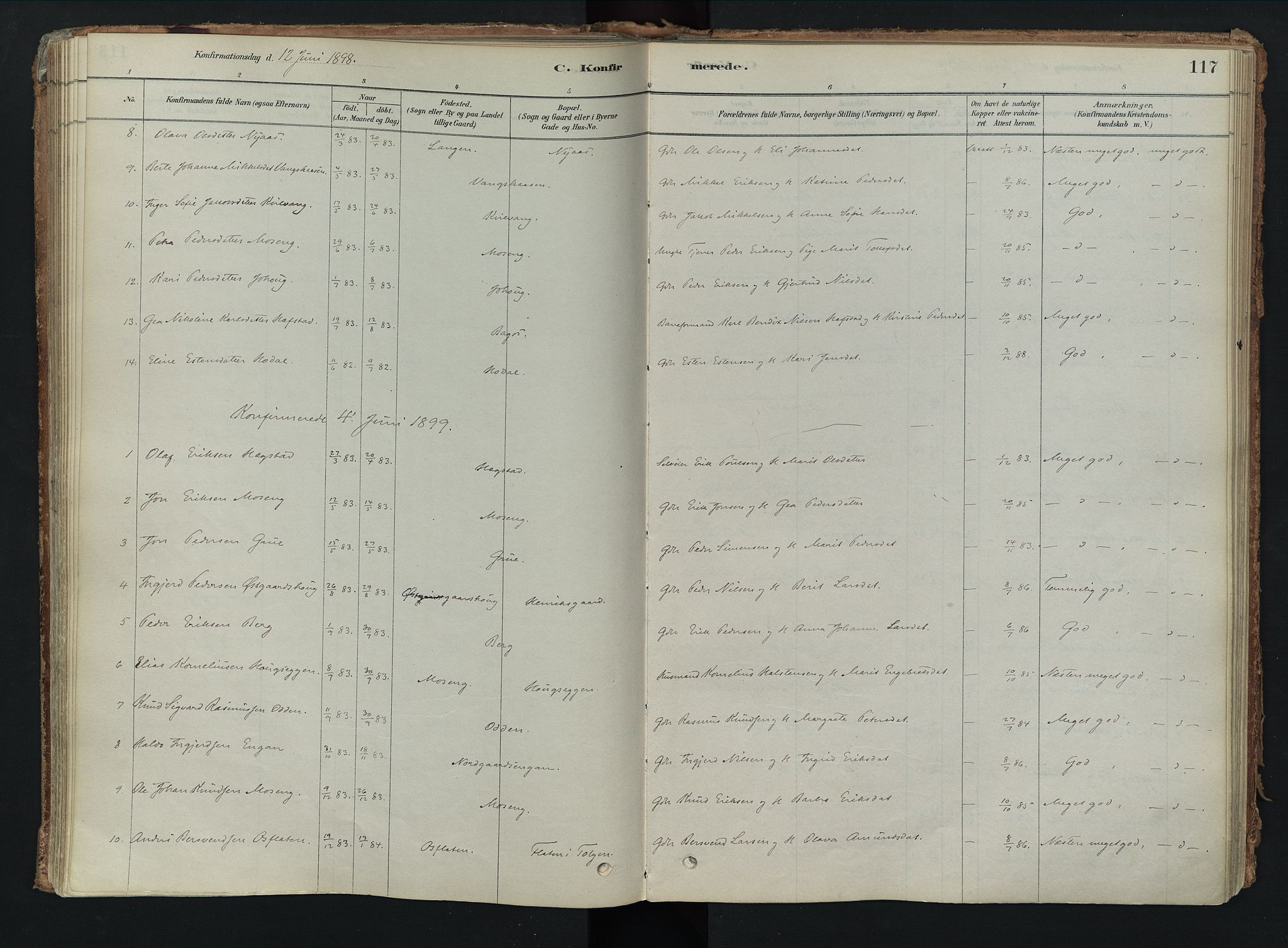 Tolga prestekontor, SAH/PREST-062/K/L0008: Parish register (official) no. 8, 1877-1910, p. 117