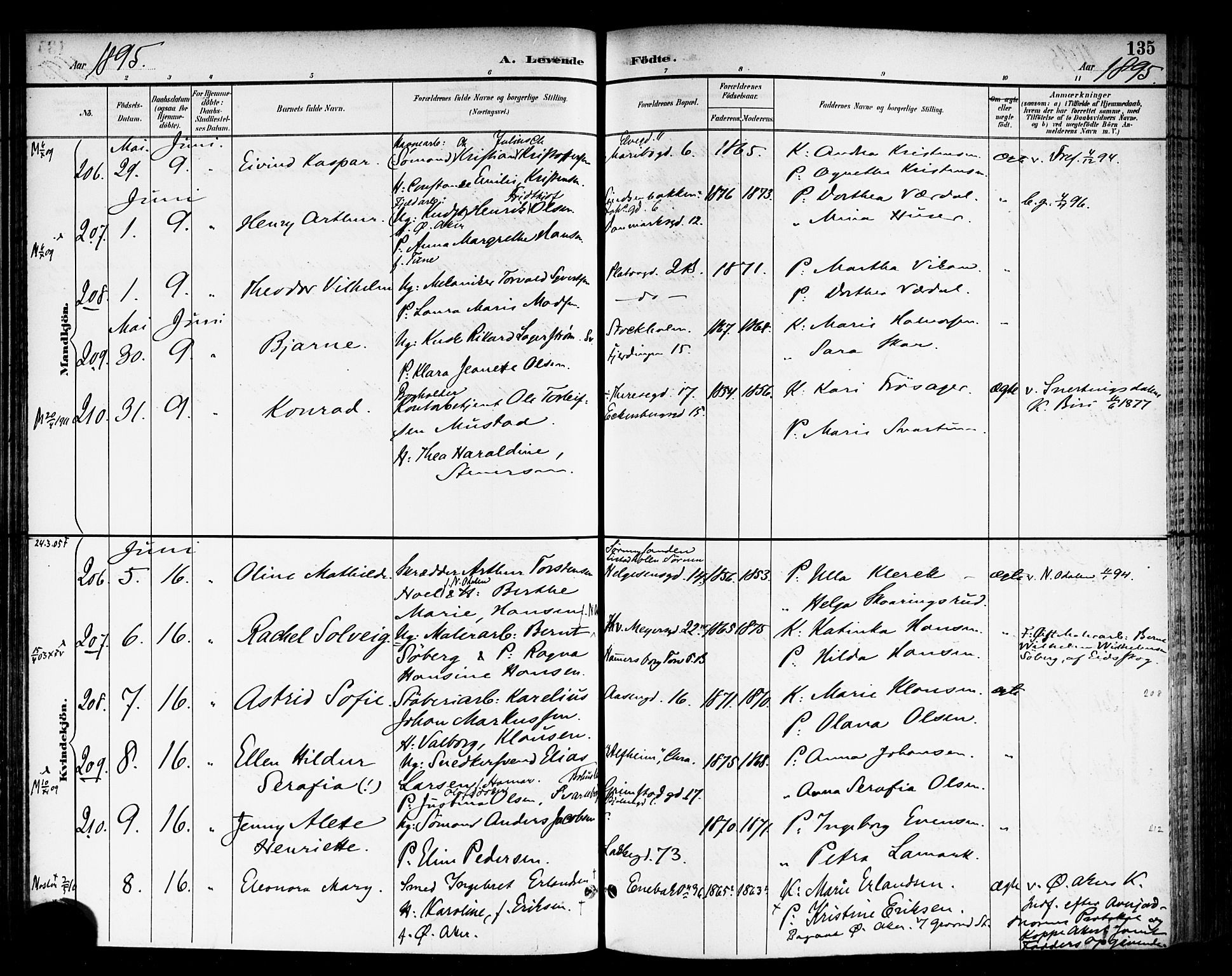 Rikshospitalet prestekontor Kirkebøker, SAO/A-10309b/F/L0009: Parish register (official) no. 9, 1894-1897, p. 135