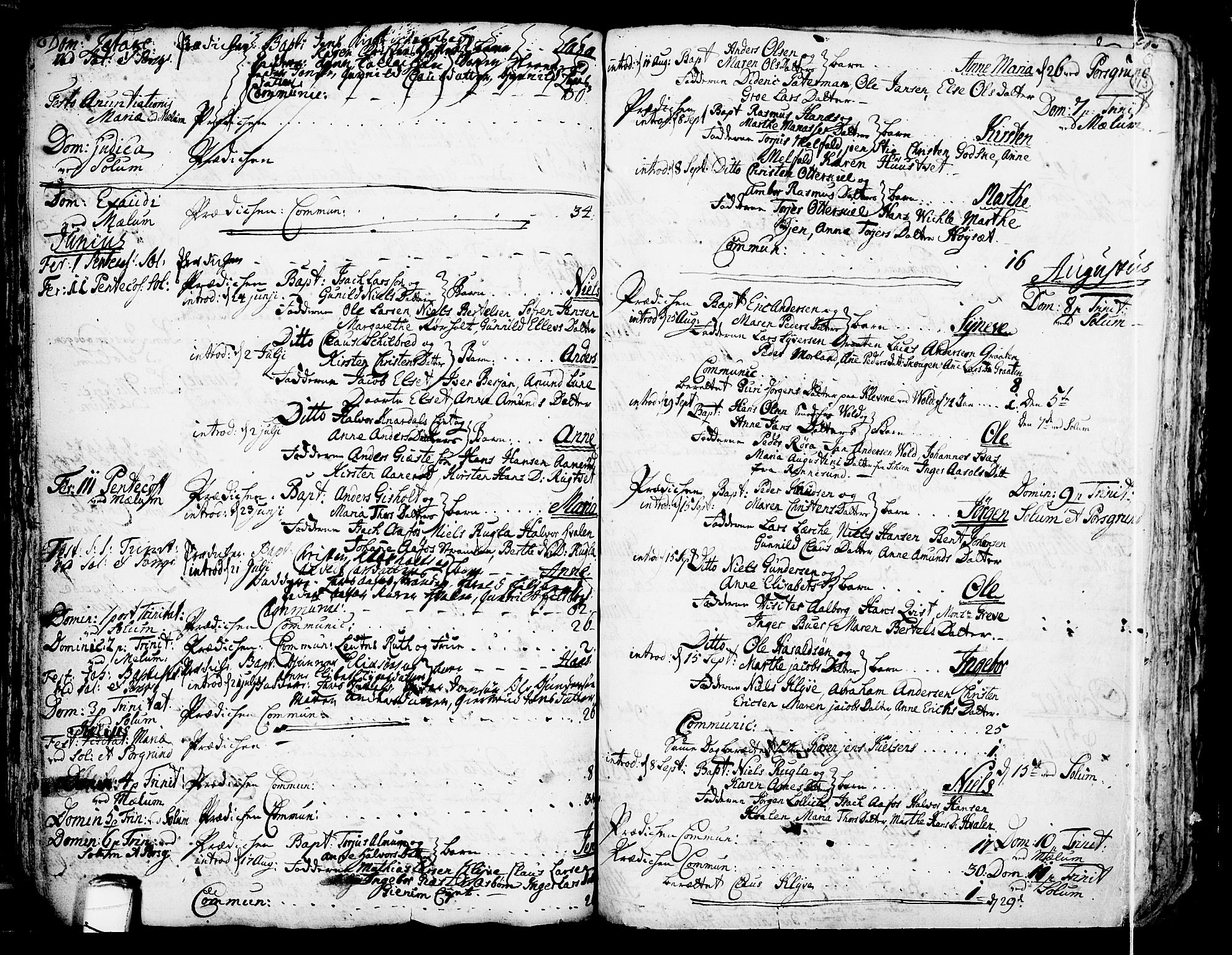 Solum kirkebøker, SAKO/A-306/F/Fa/L0002: Parish register (official) no. I 2, 1713-1761, p. 113